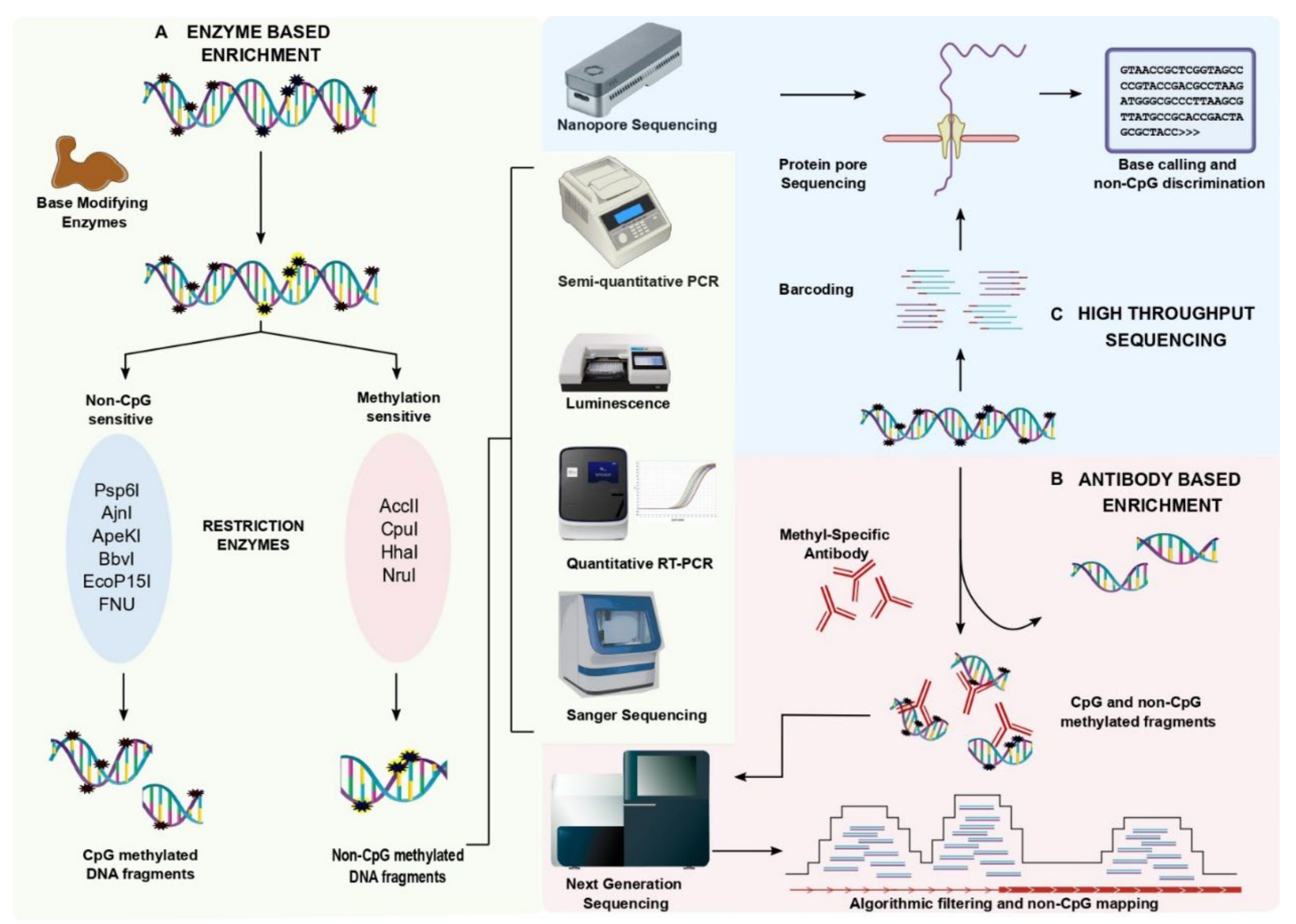 Epigenomes 06 00024 g001