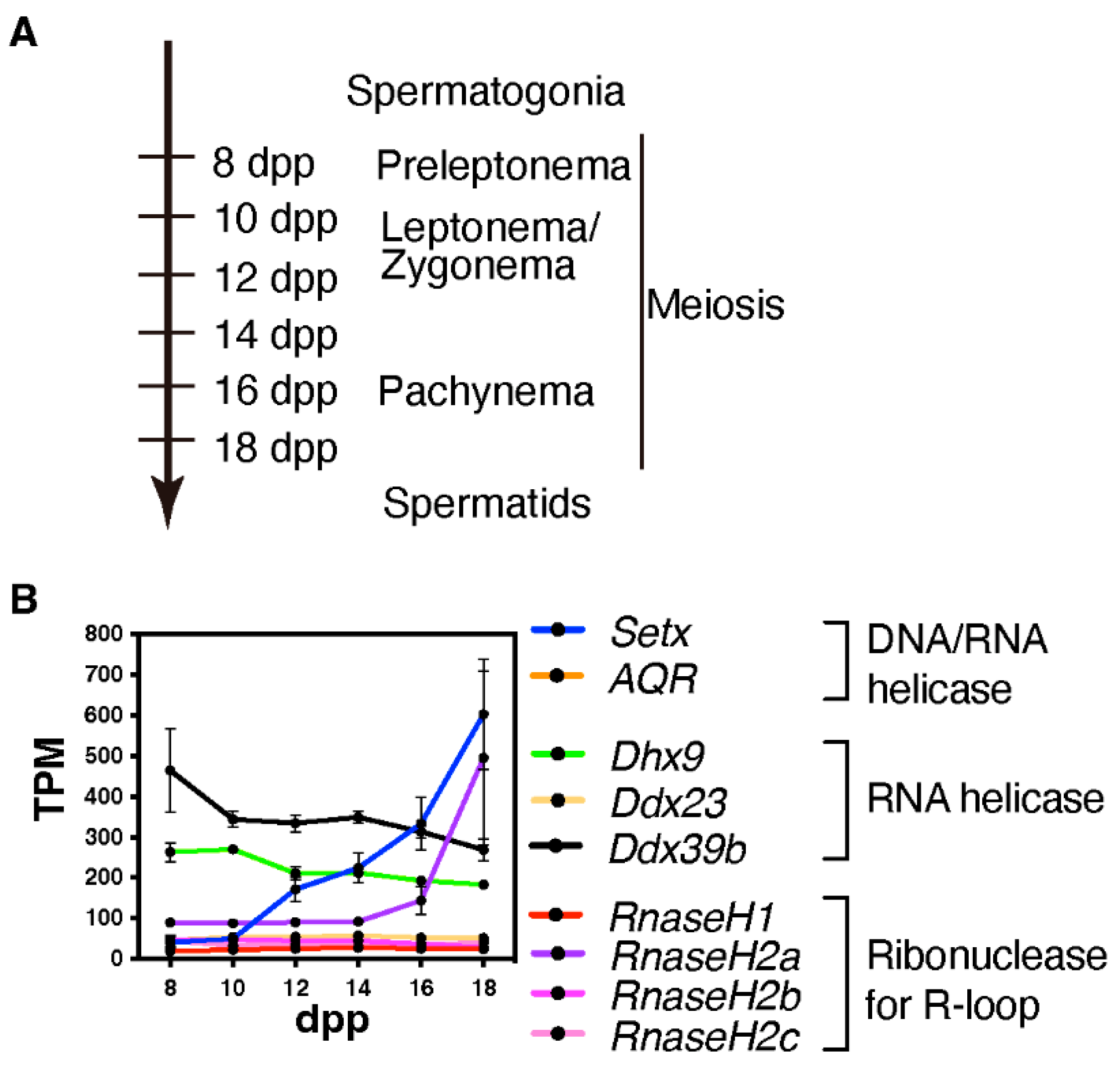 Epigenomes 06 00026 g003
