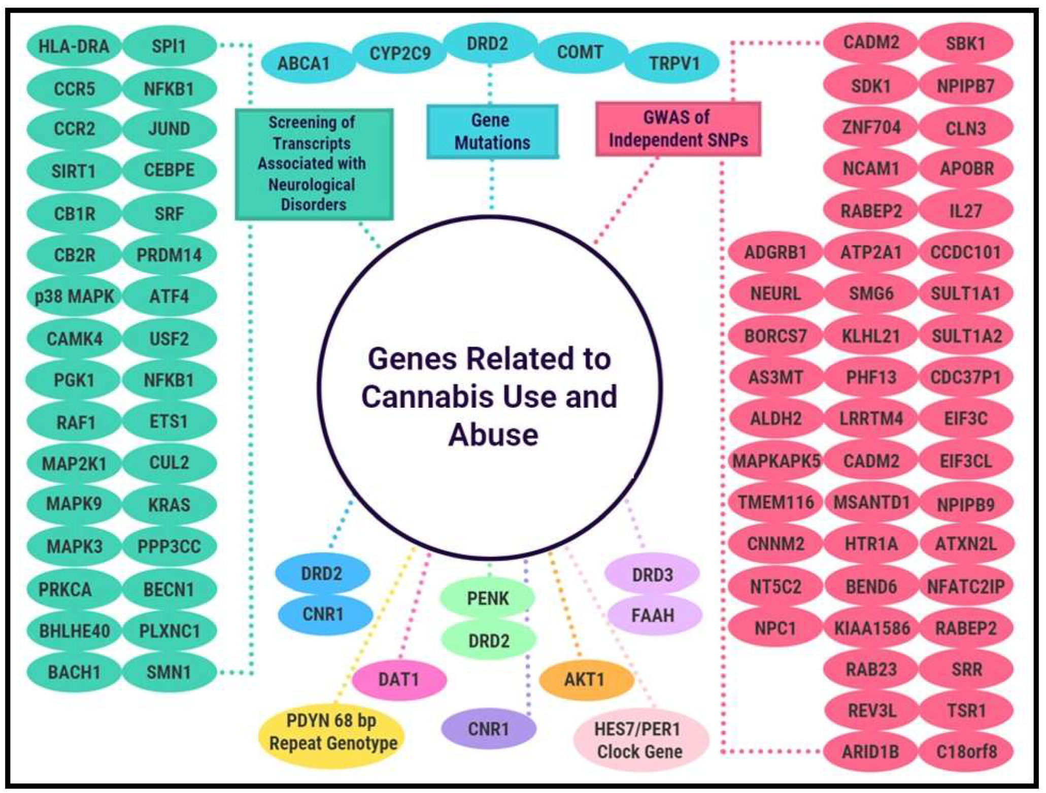 Epigenomes 06 00027 g001