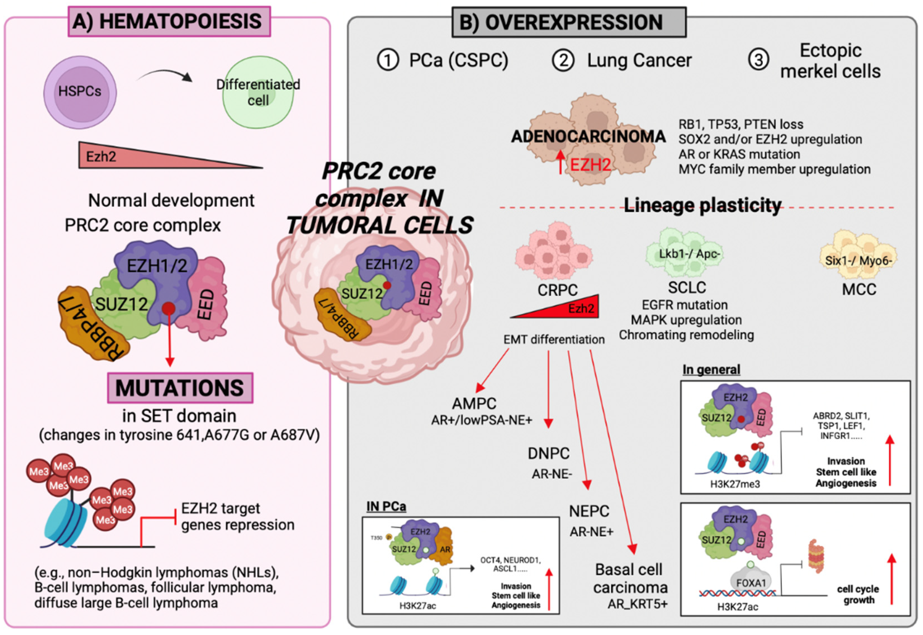 Epigenomes 06 00028 g003