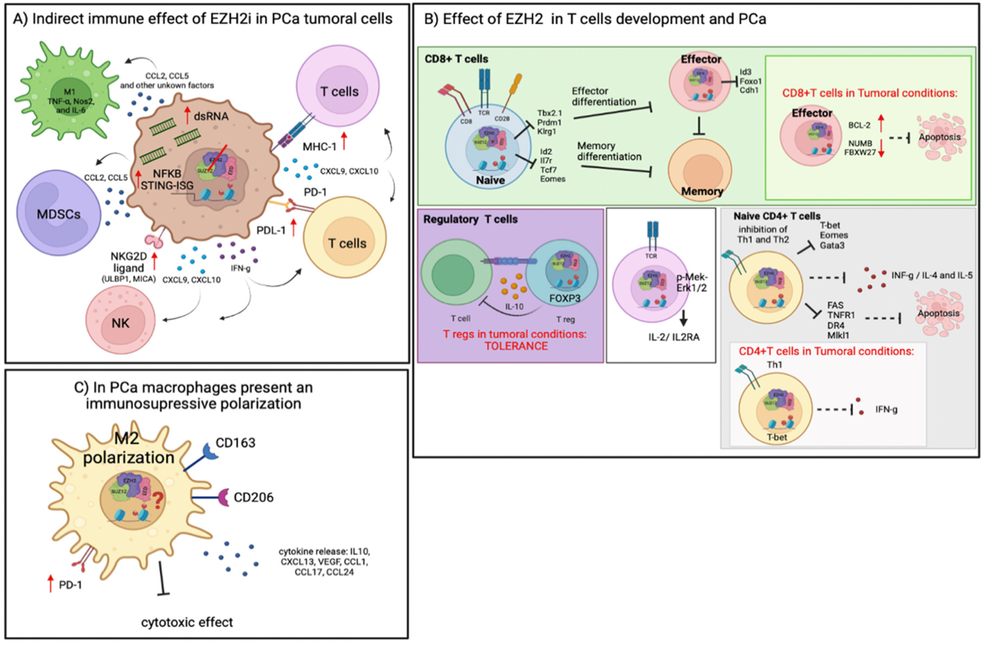 Epigenomes 06 00028 g004
