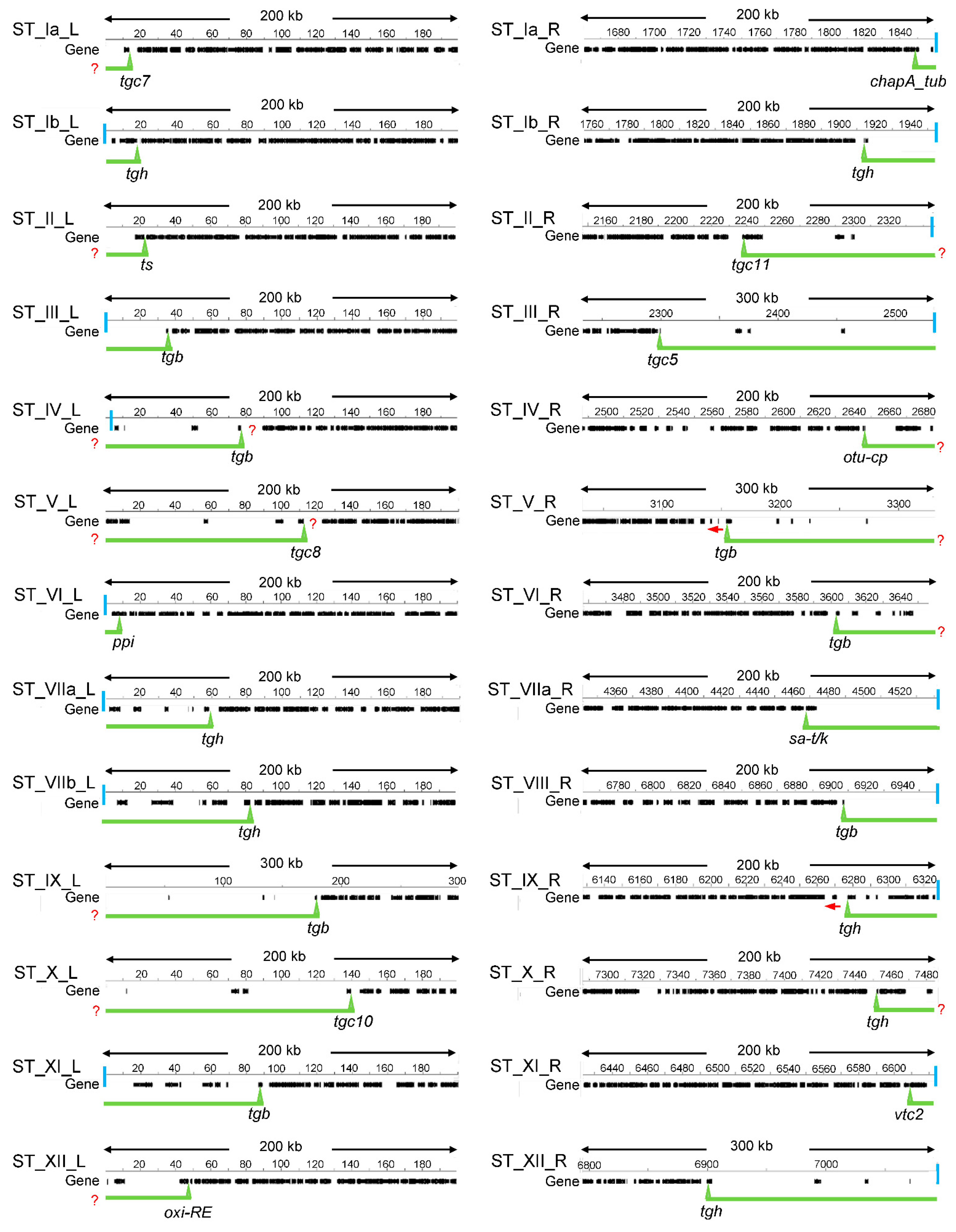 Epigenomes 06 00029 g001