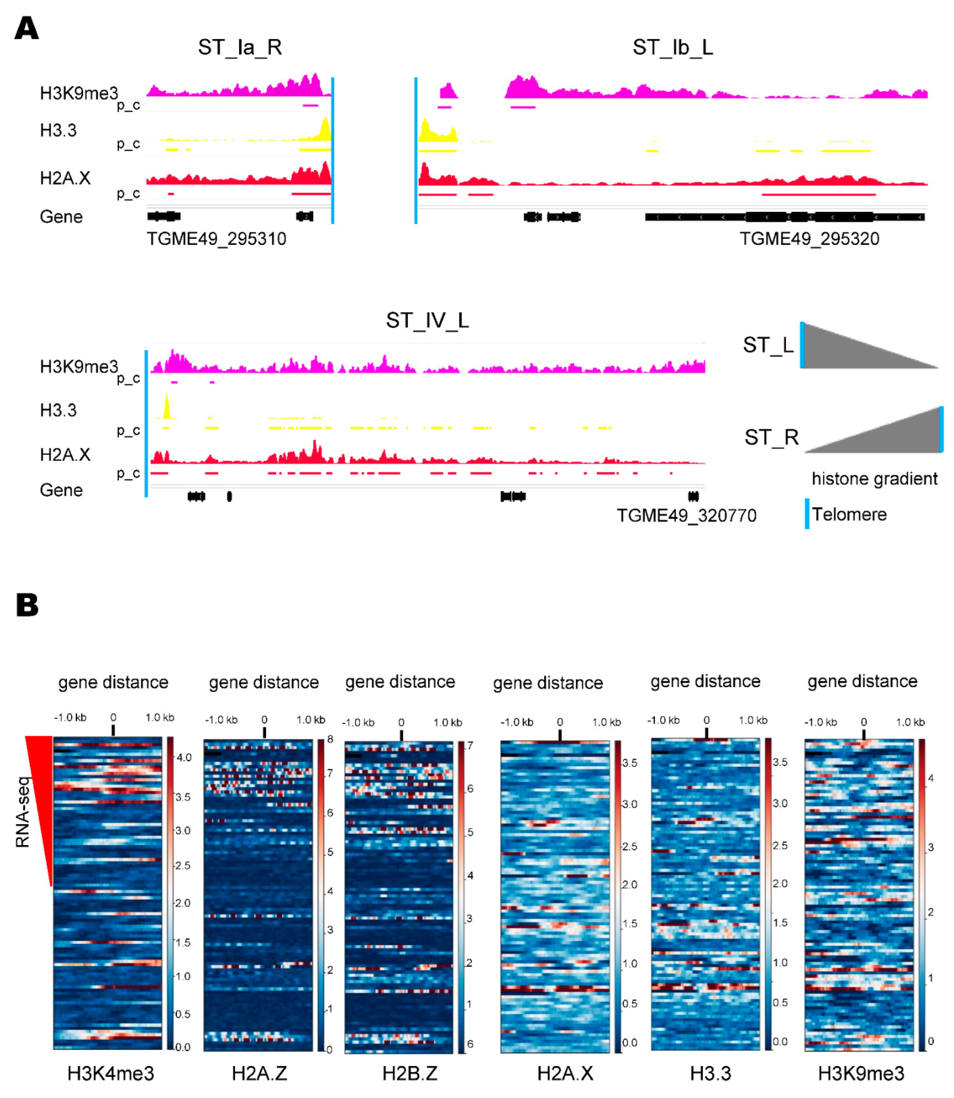 Epigenomes 06 00029 g002