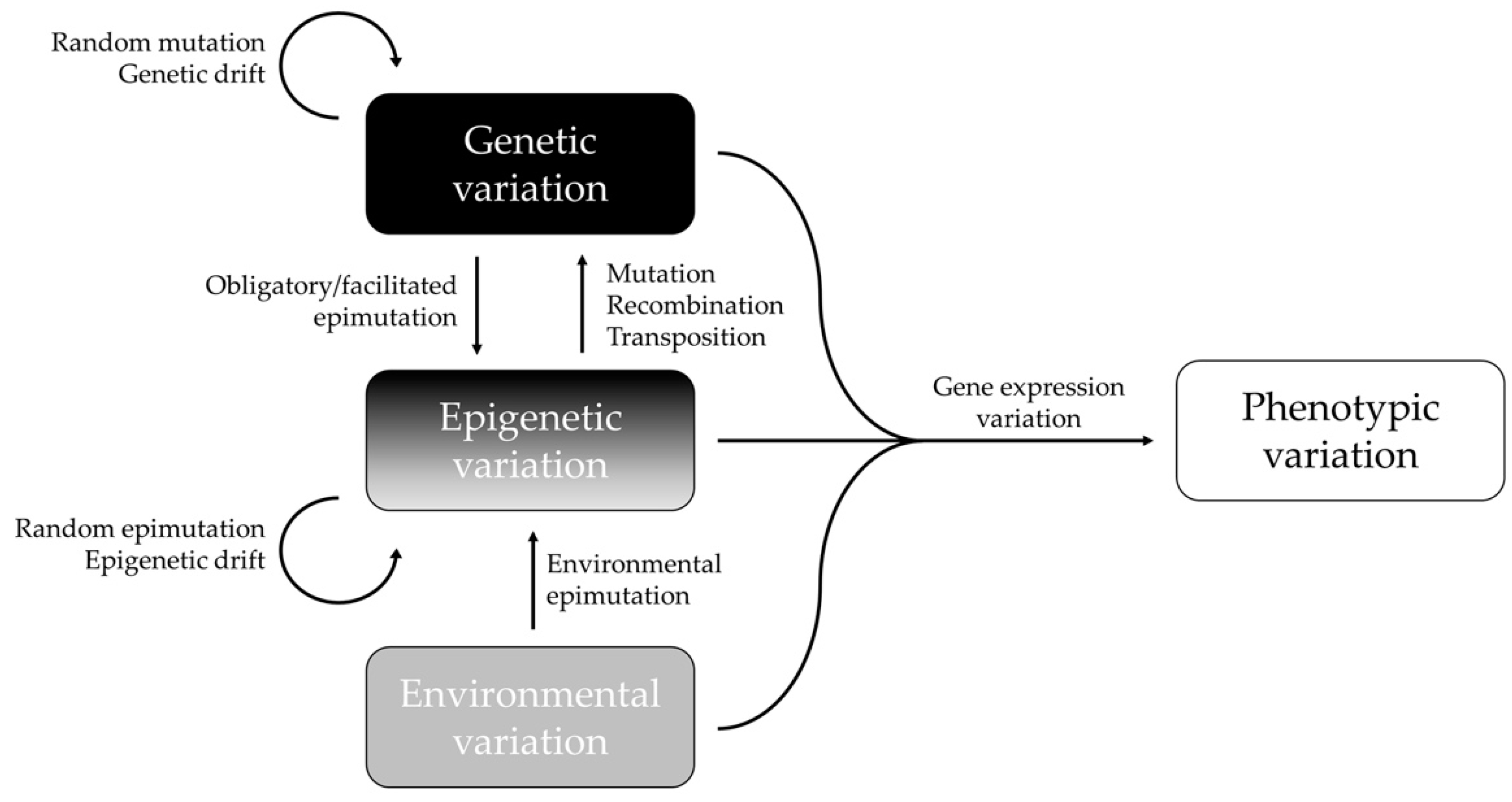 Epigenomes 06 00031 g001 Epigenomes 06 00031 g001