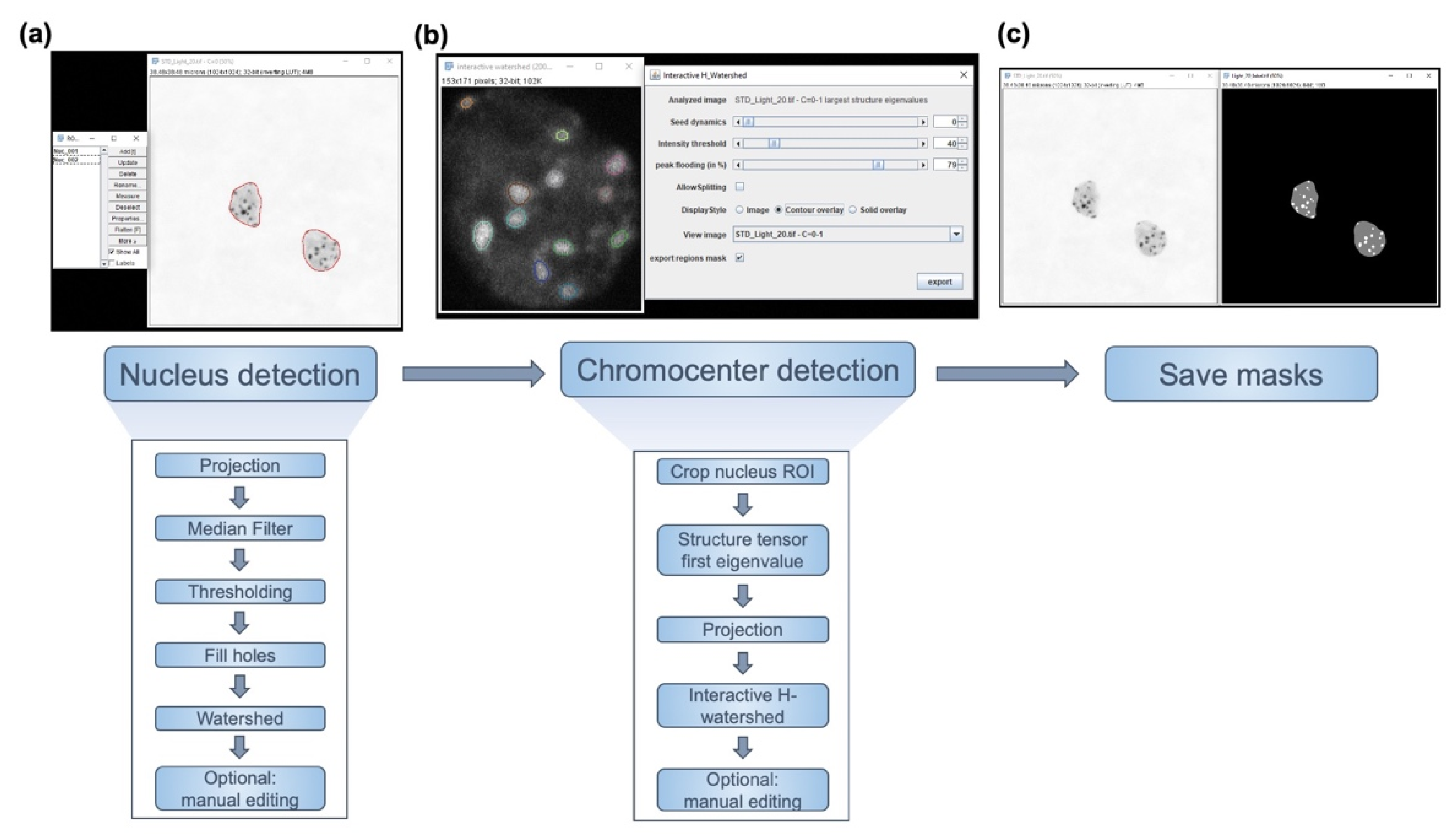 Epigenomes 06 00034 g001