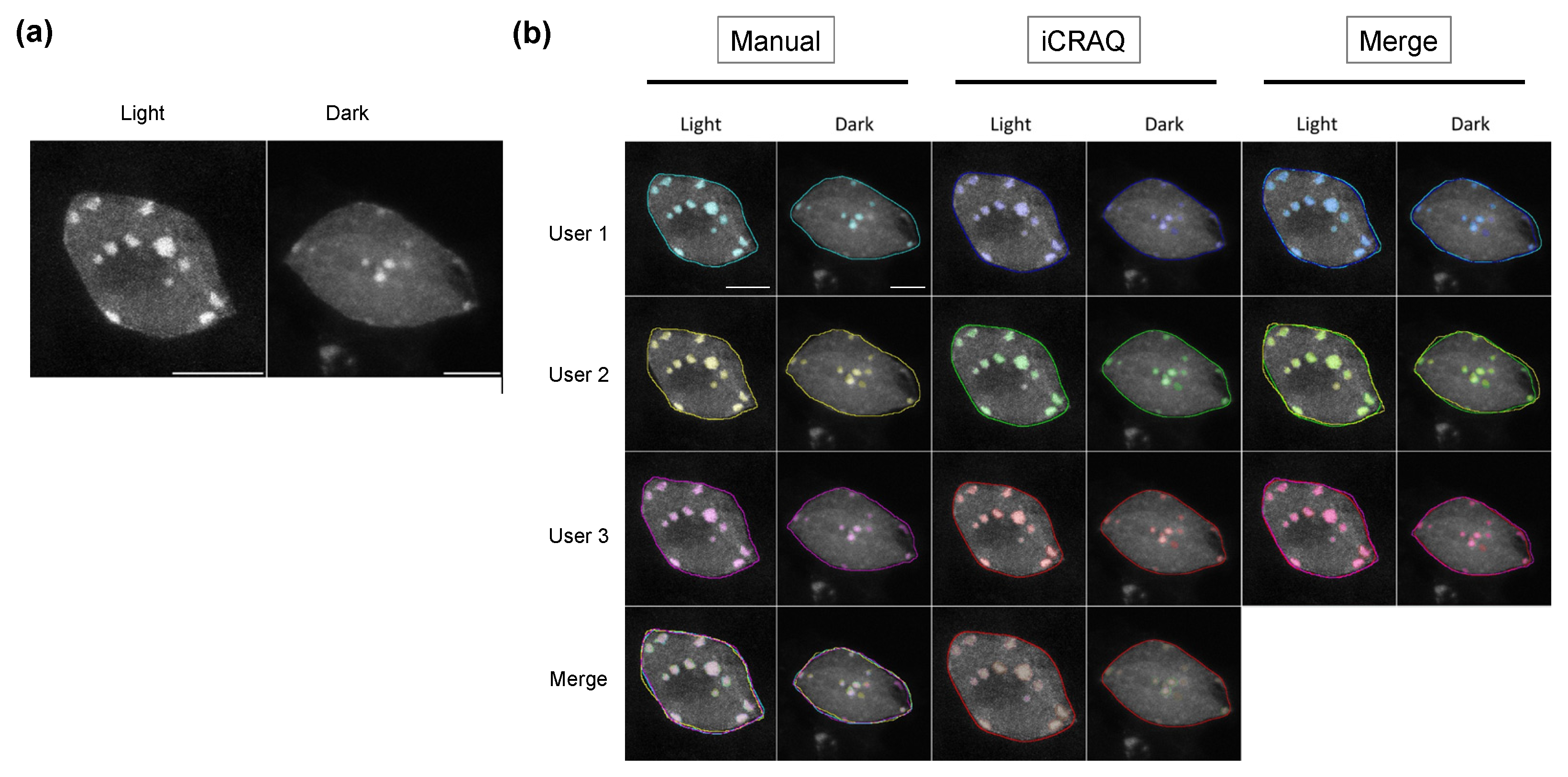Epigenomes 06 00034 g002