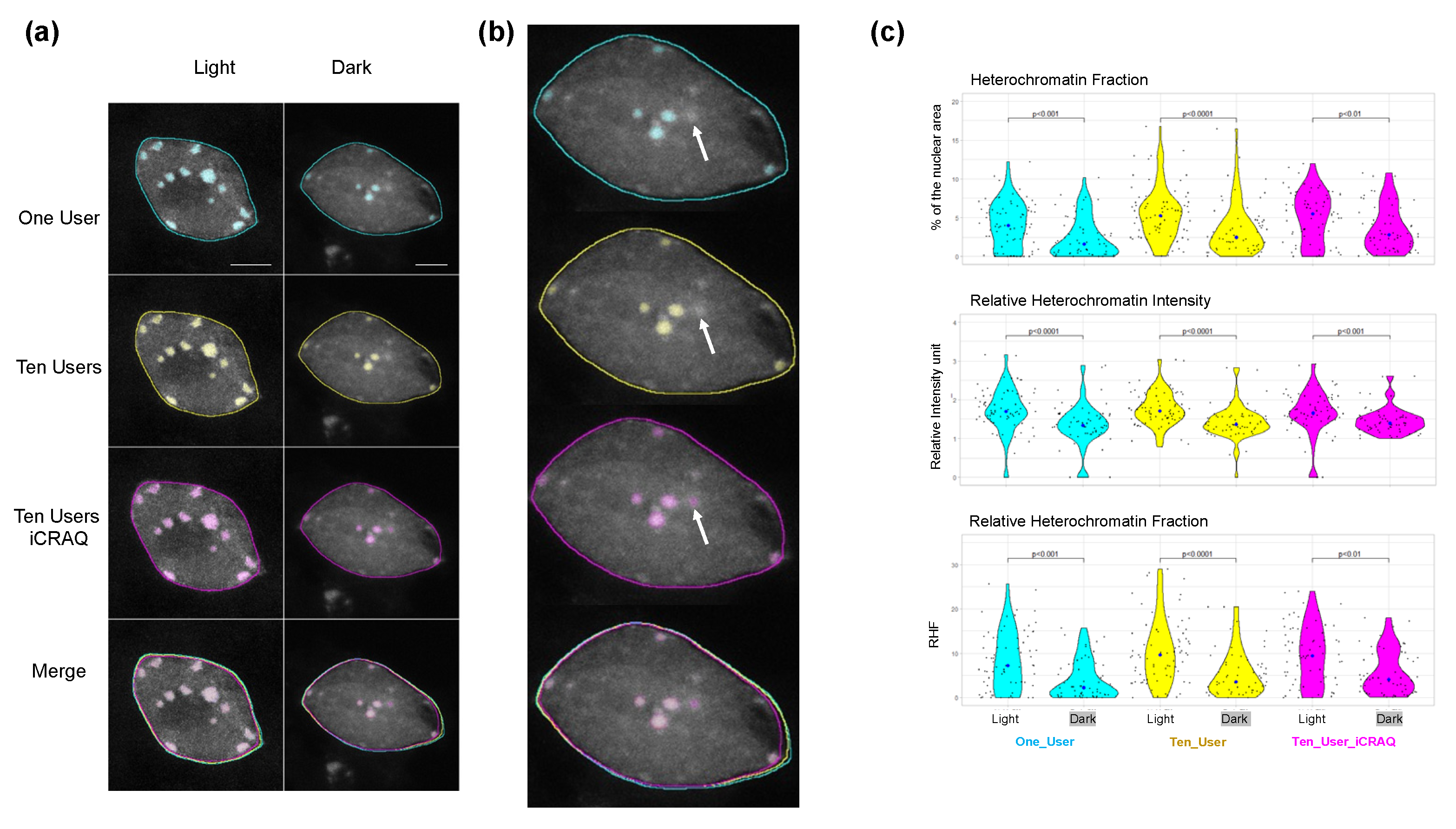 Epigenomes 06 00034 g006
