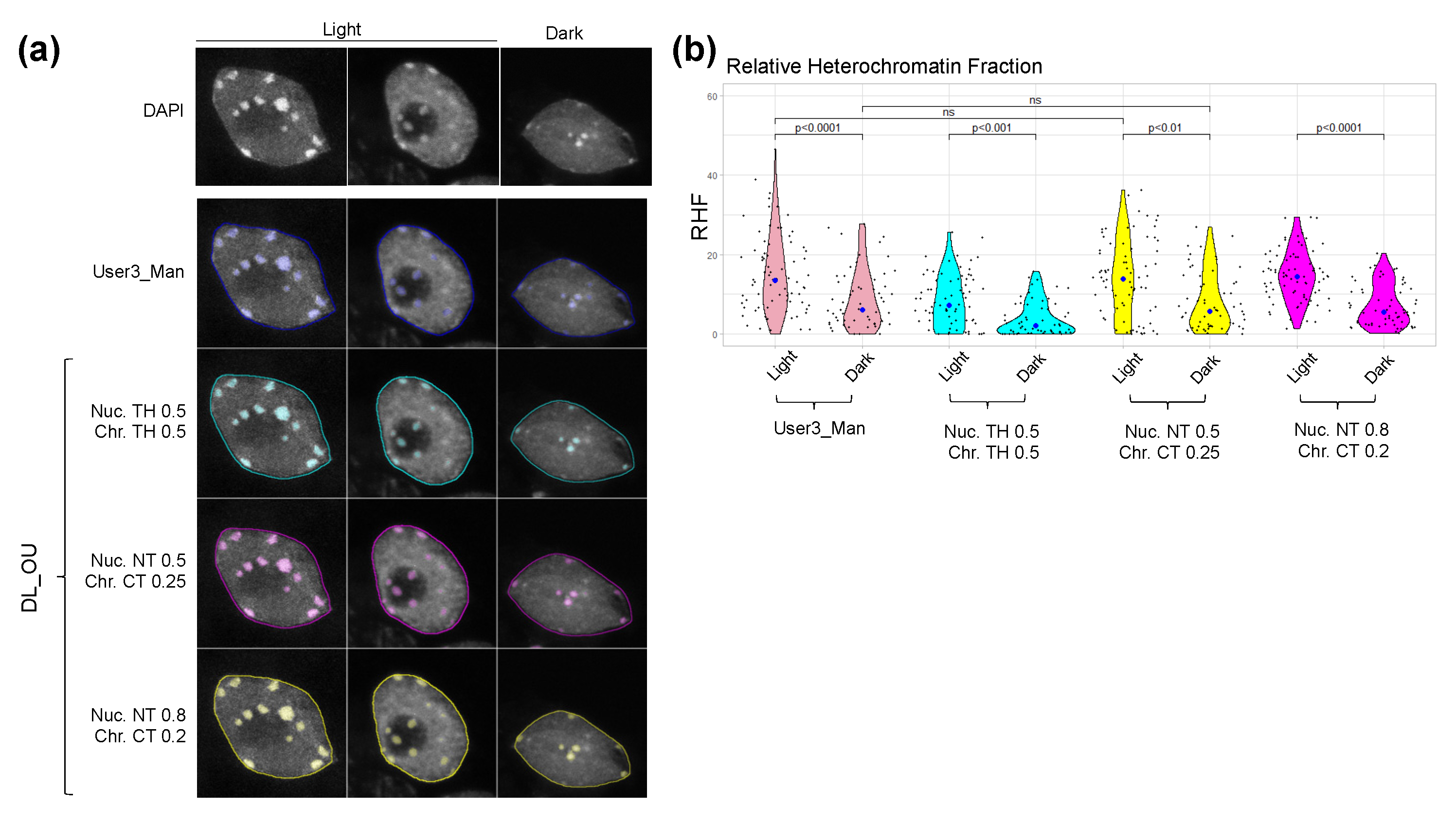 Epigenomes 06 00034 g007