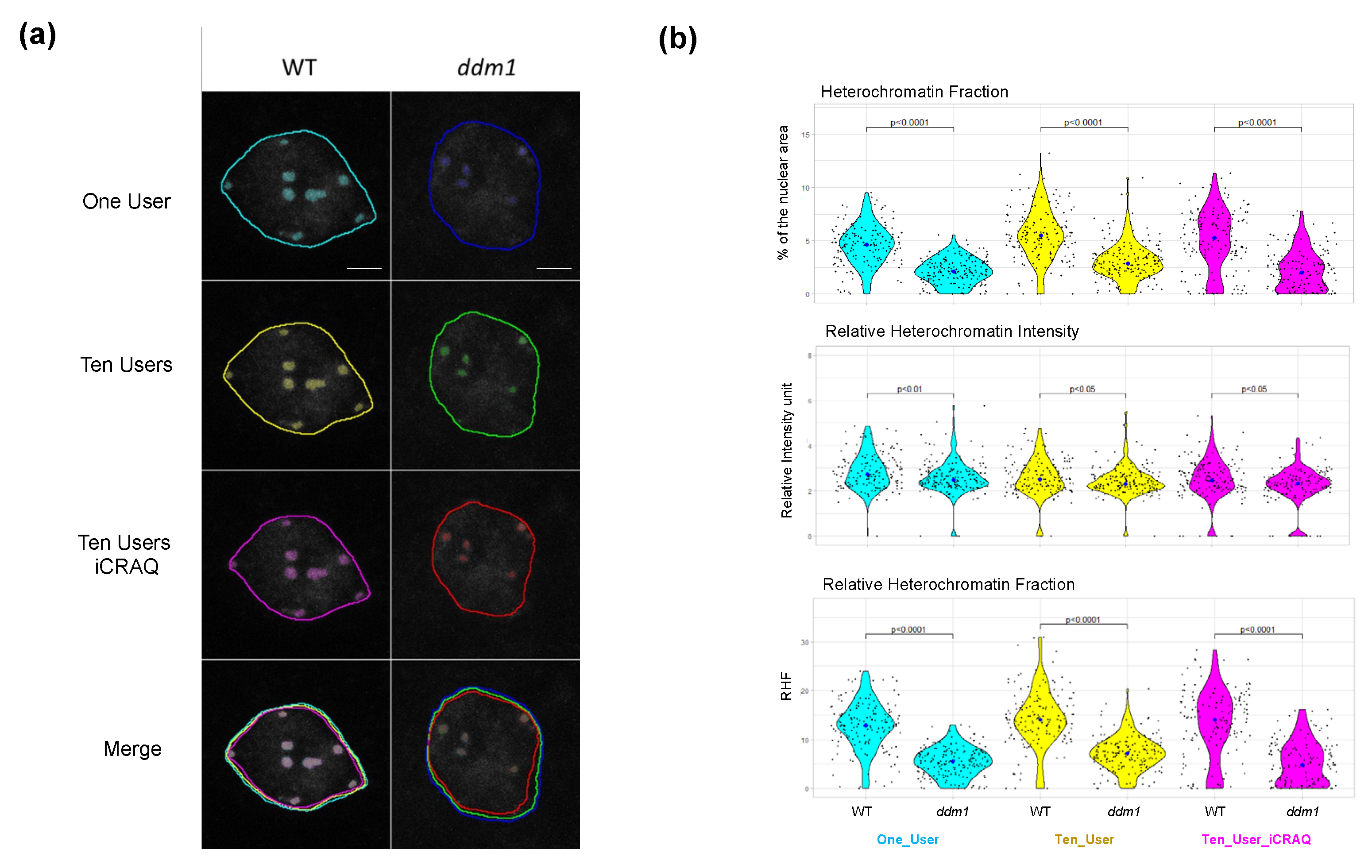 Epigenomes 06 00034 g009