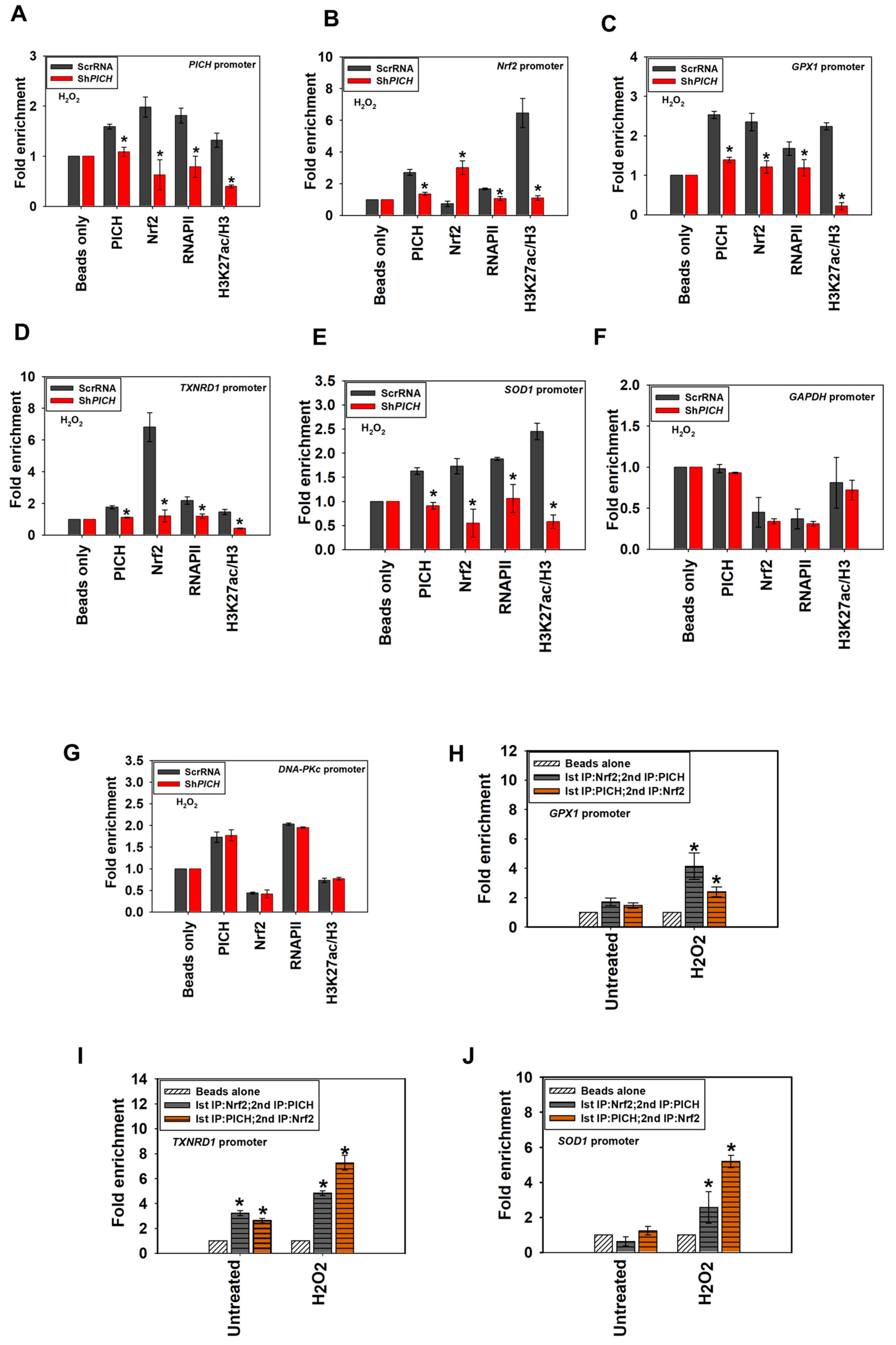 Epigenomes 06 00036 g006