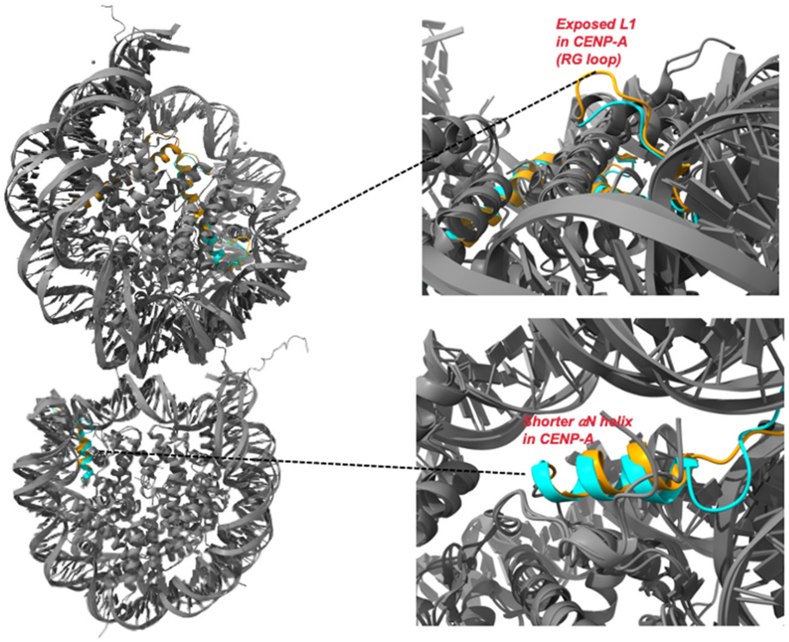 Epigenomes 06 00039 g002