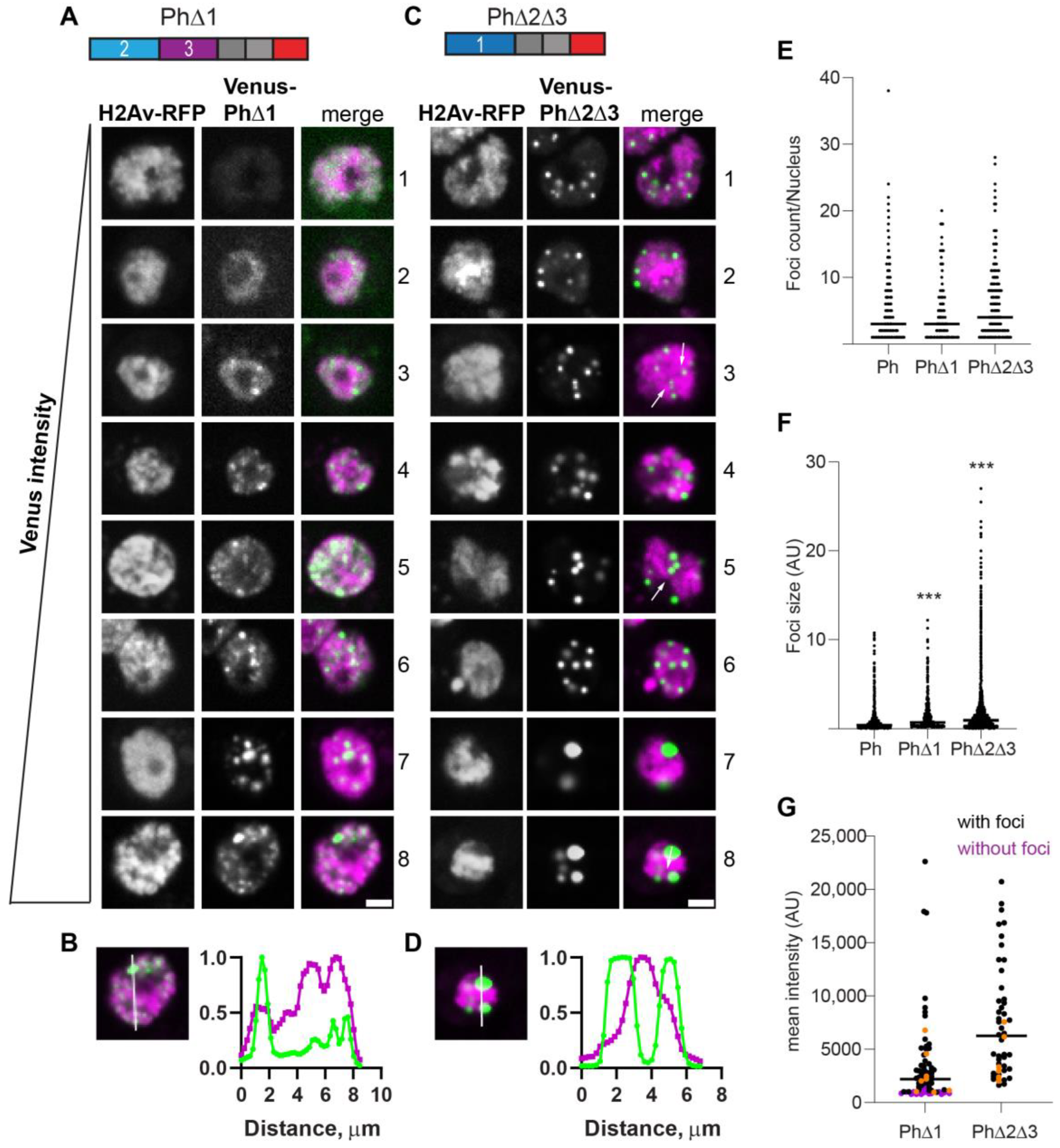 Epigenomes 06 00040 g003