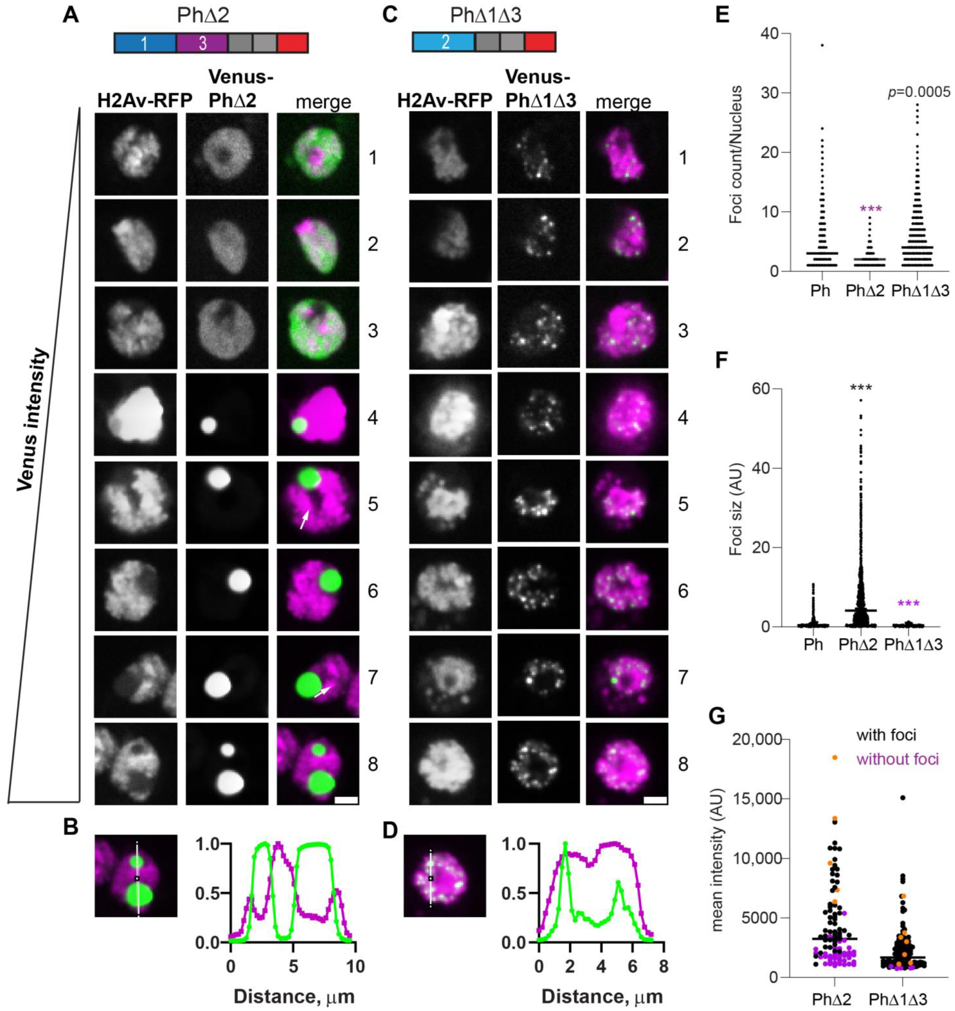 Epigenomes 06 00040 g004