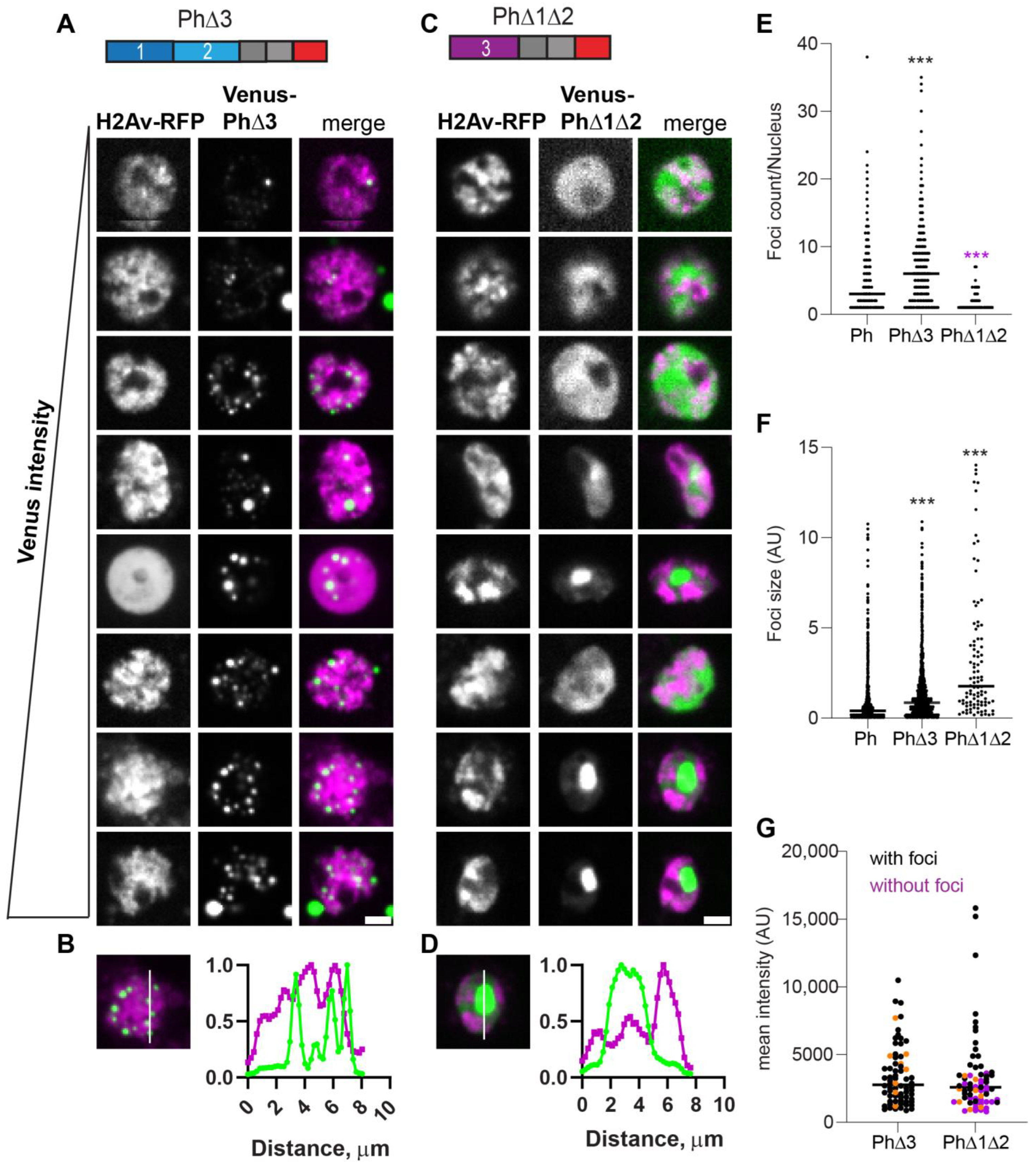 Epigenomes 06 00040 g005