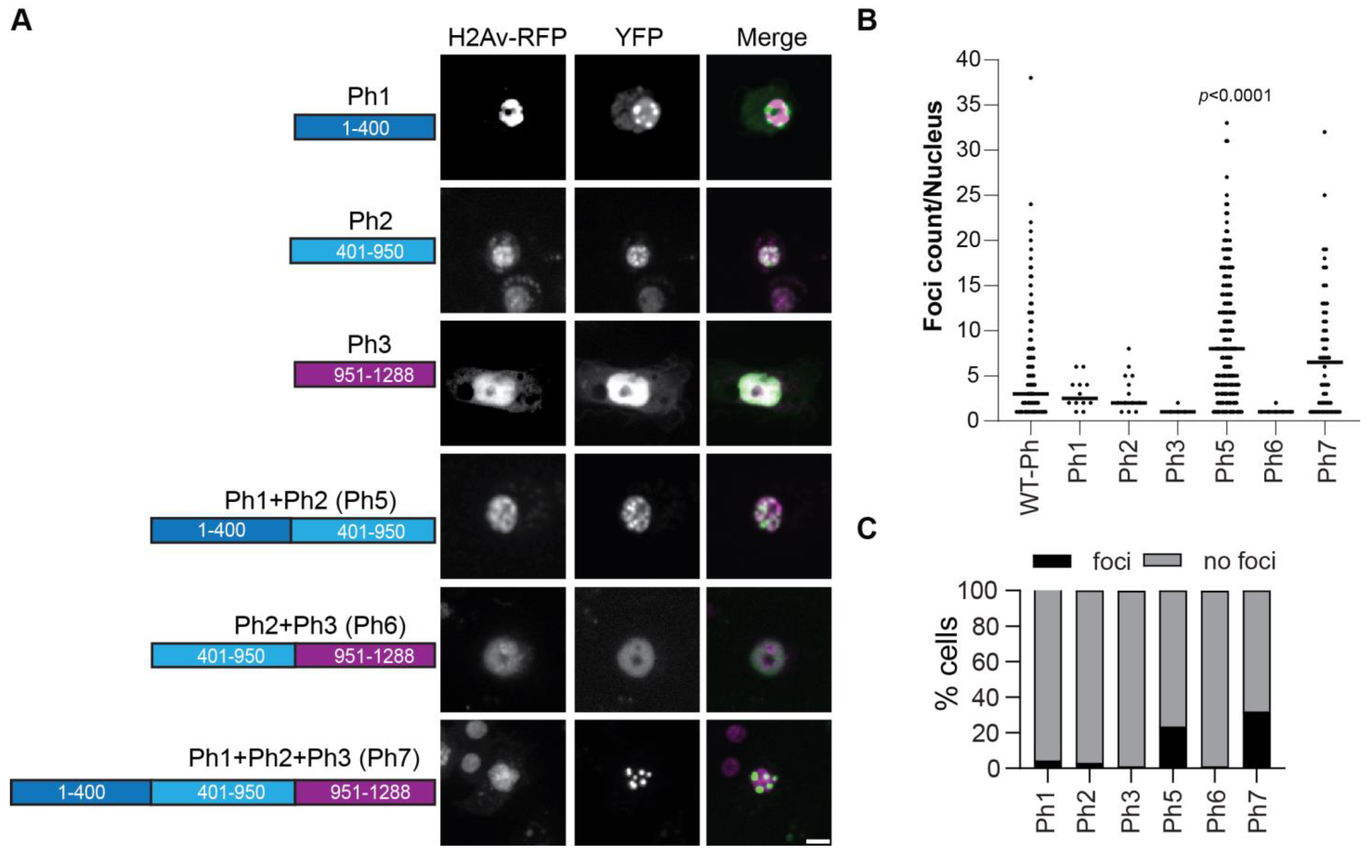 Epigenomes 06 00040 g008