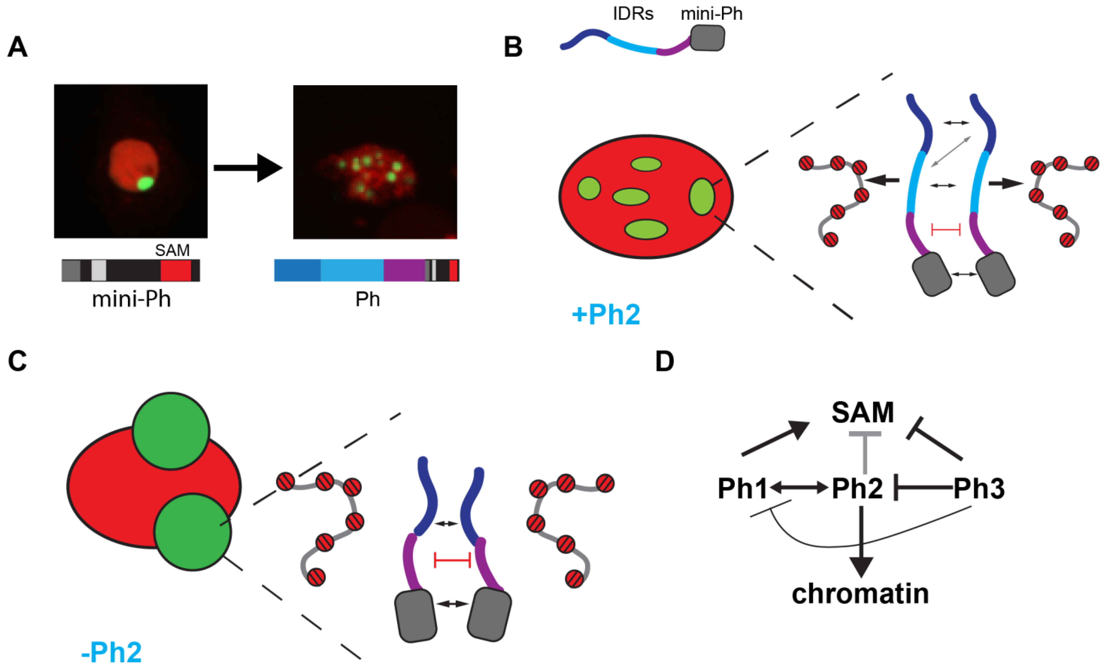 Epigenomes 06 00040 g009