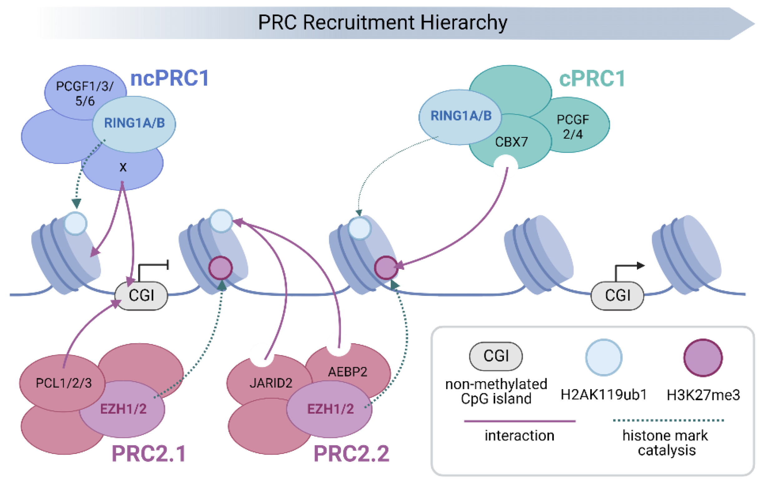 Epigenomes 06 00042 g002