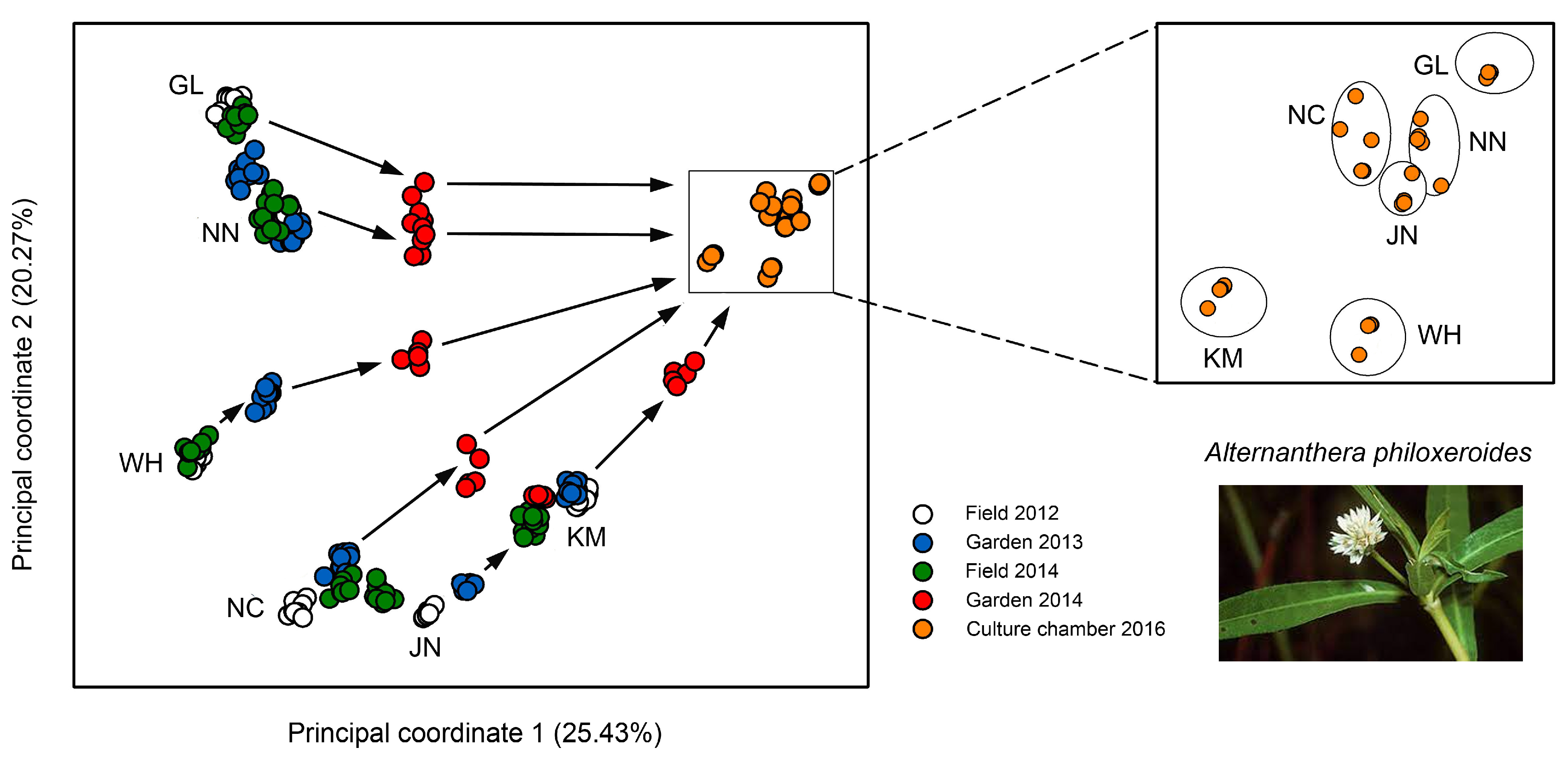 Epigenomes 07 00001 g003 Epigenomes 07 00001 g003