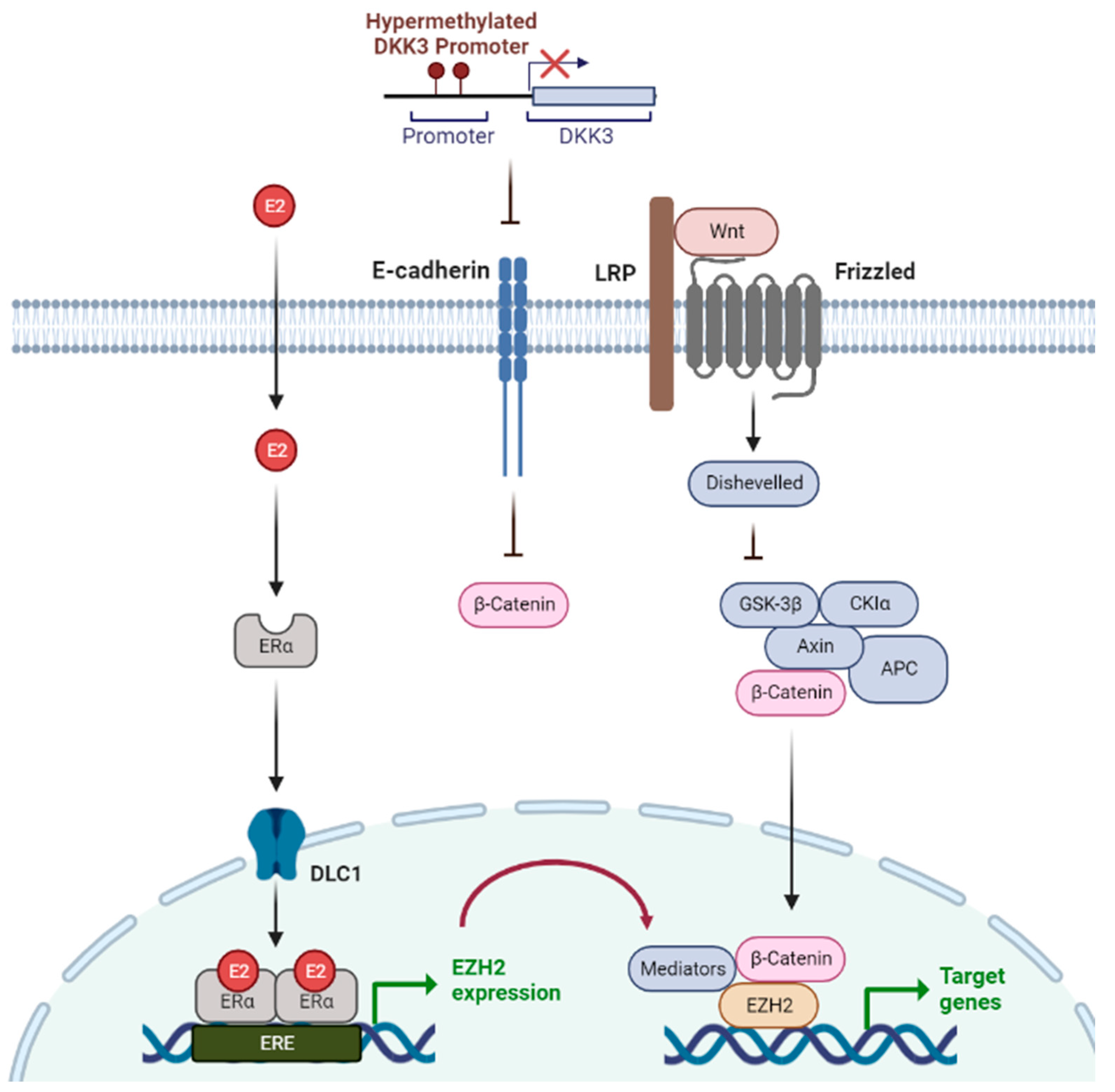 Epigenomes 07 00006 g001