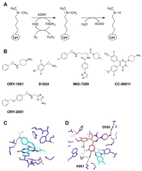 Epigenomes 07 00007 g001