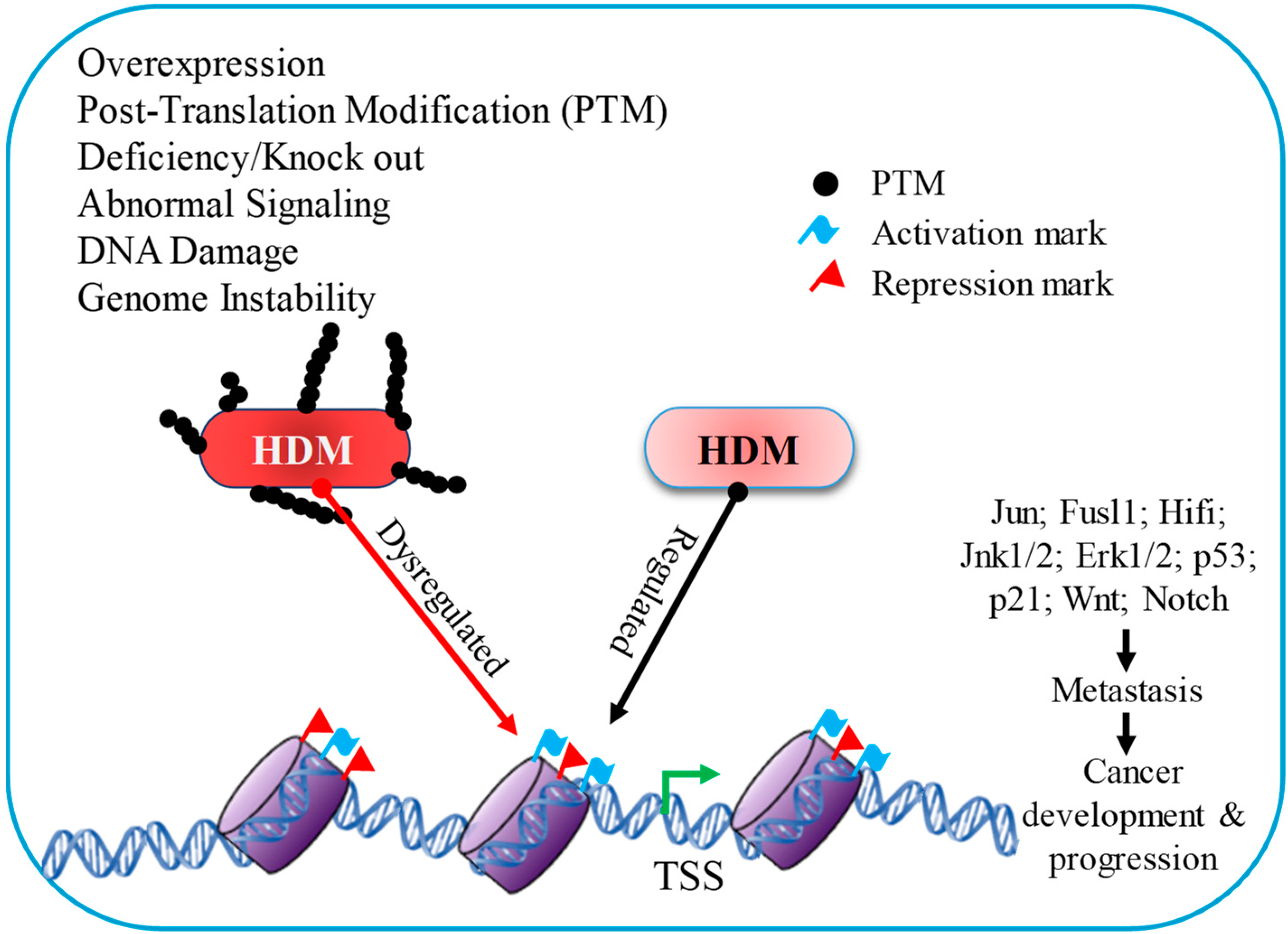 Epigenomes 07 00010 g002 Epigenomes 07 00010 g002