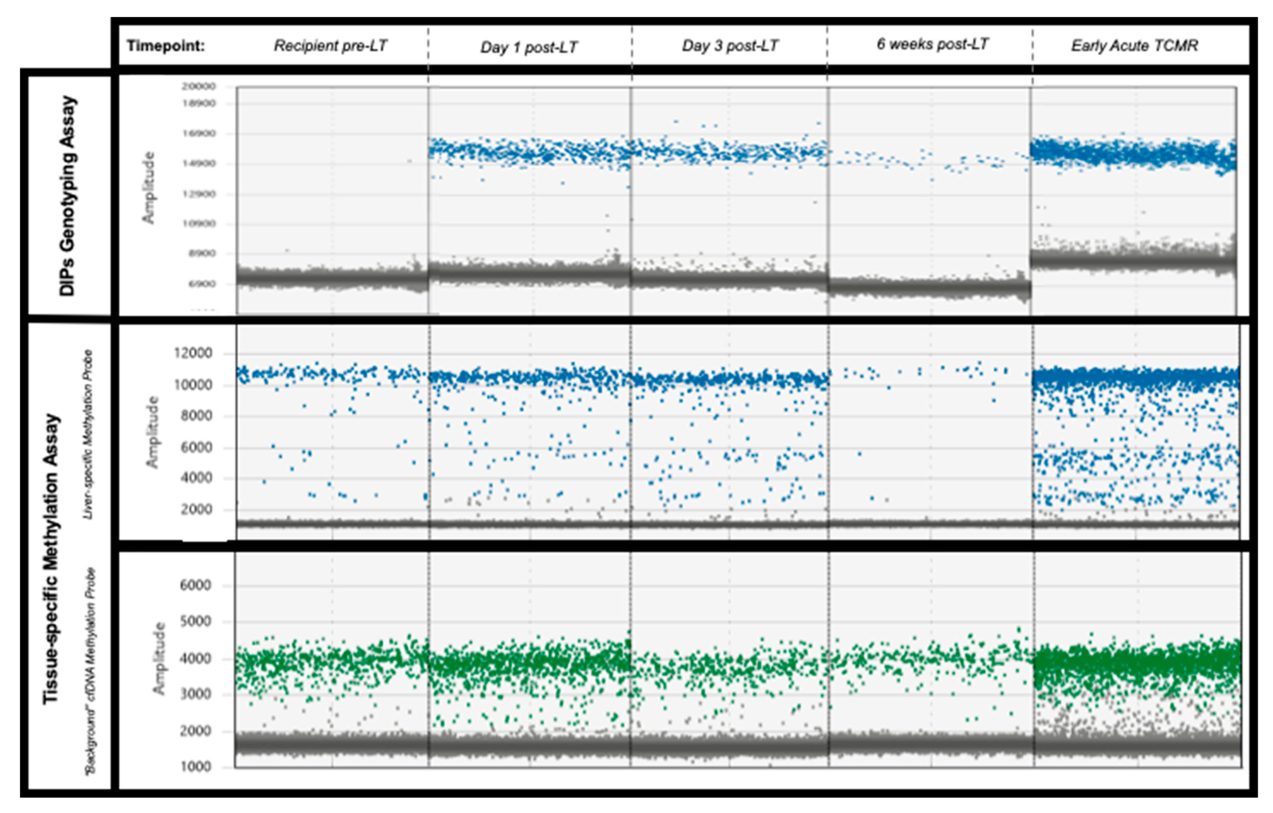 Epigenomes 07 00011 g003