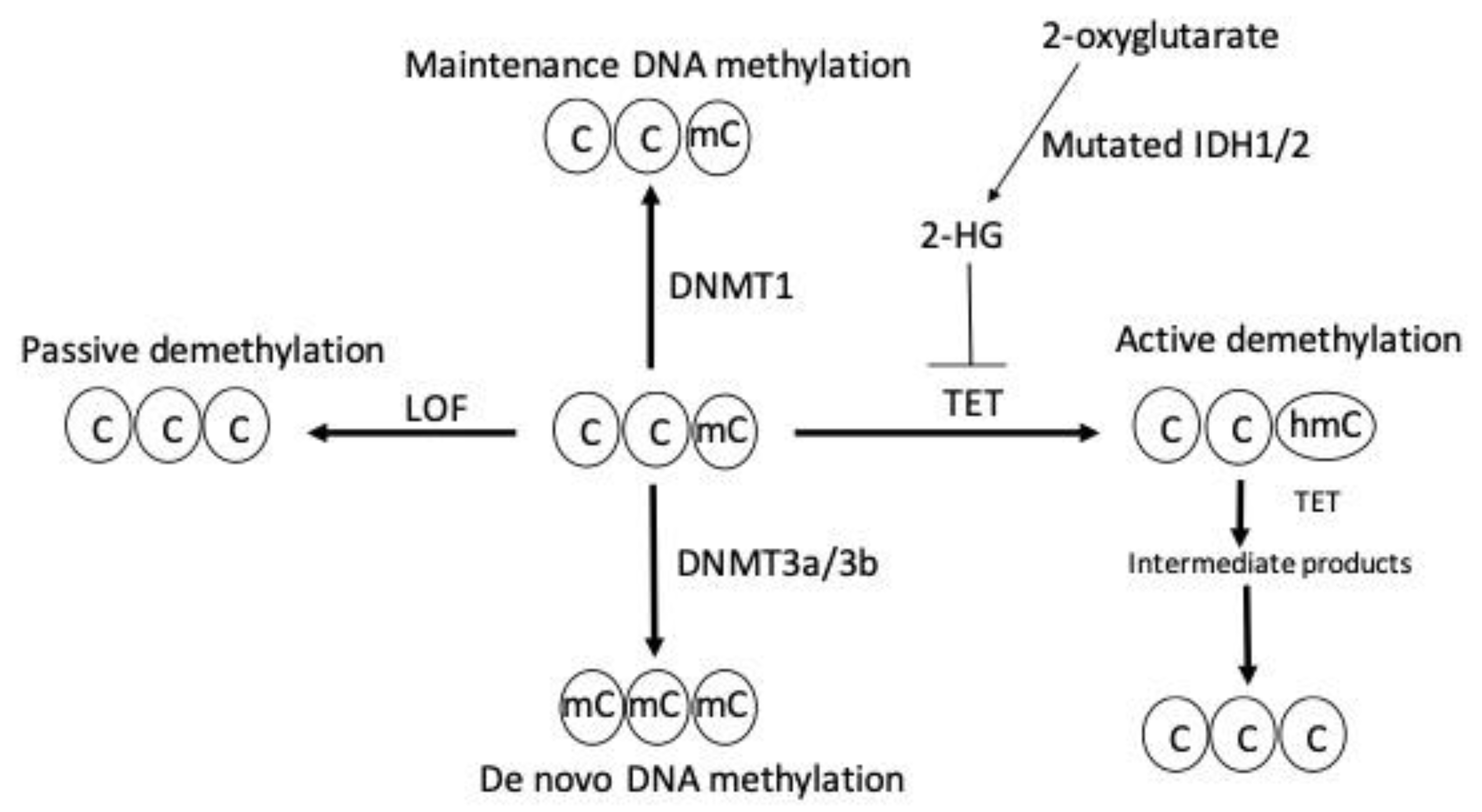 Epigenomes 07 00012 g001
