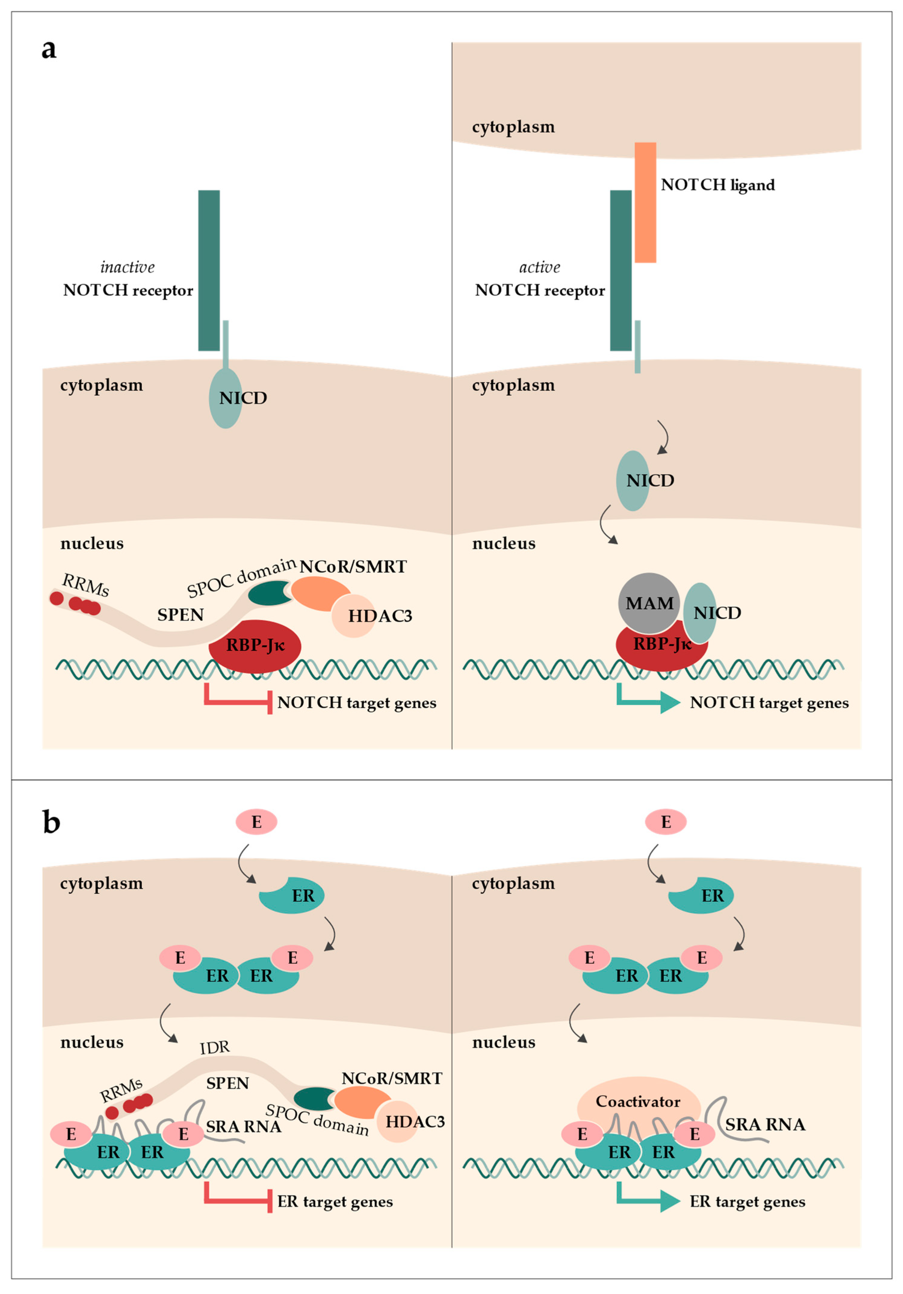 Epigenomes 07 00028 g001