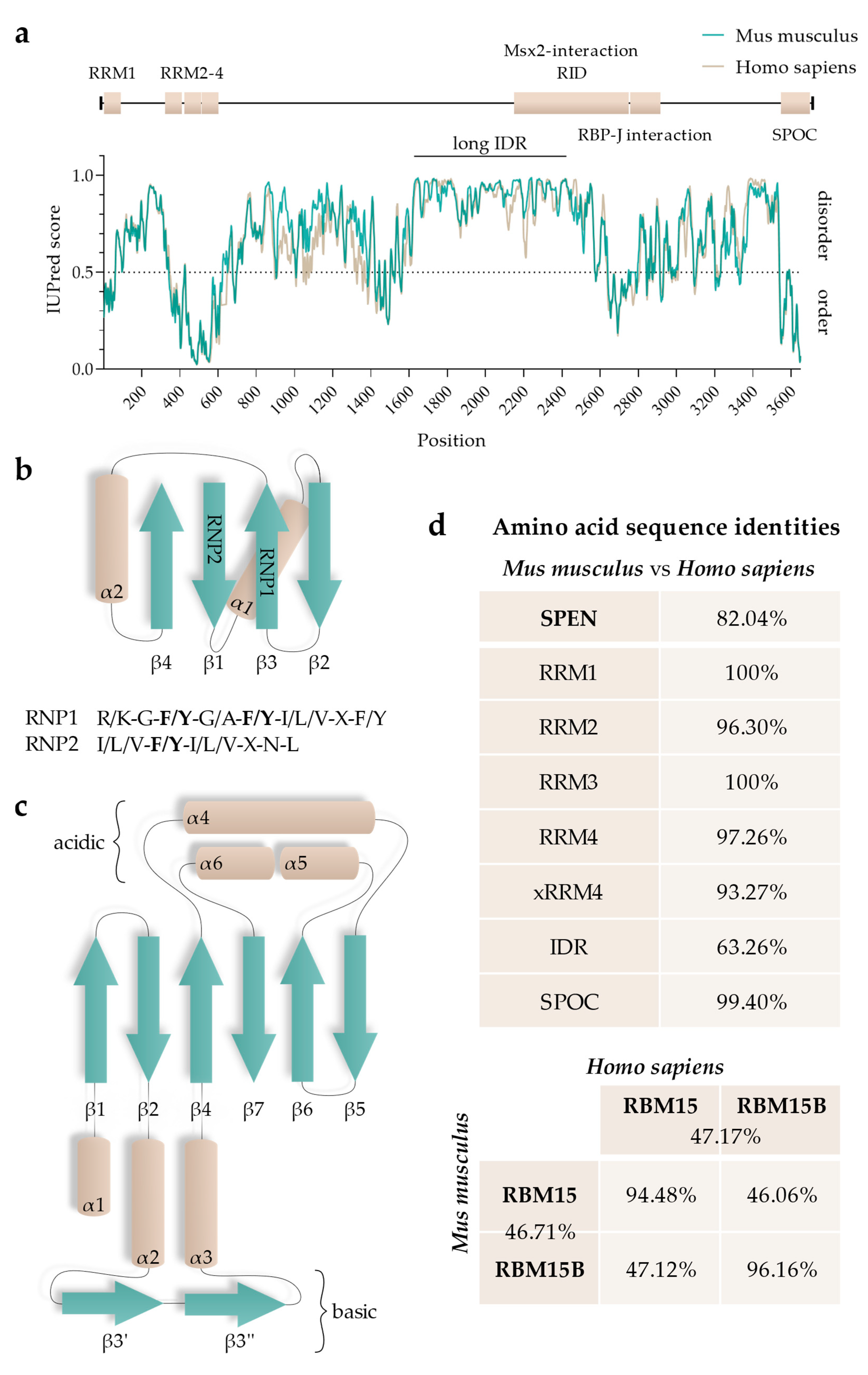 Epigenomes 07 00028 g002