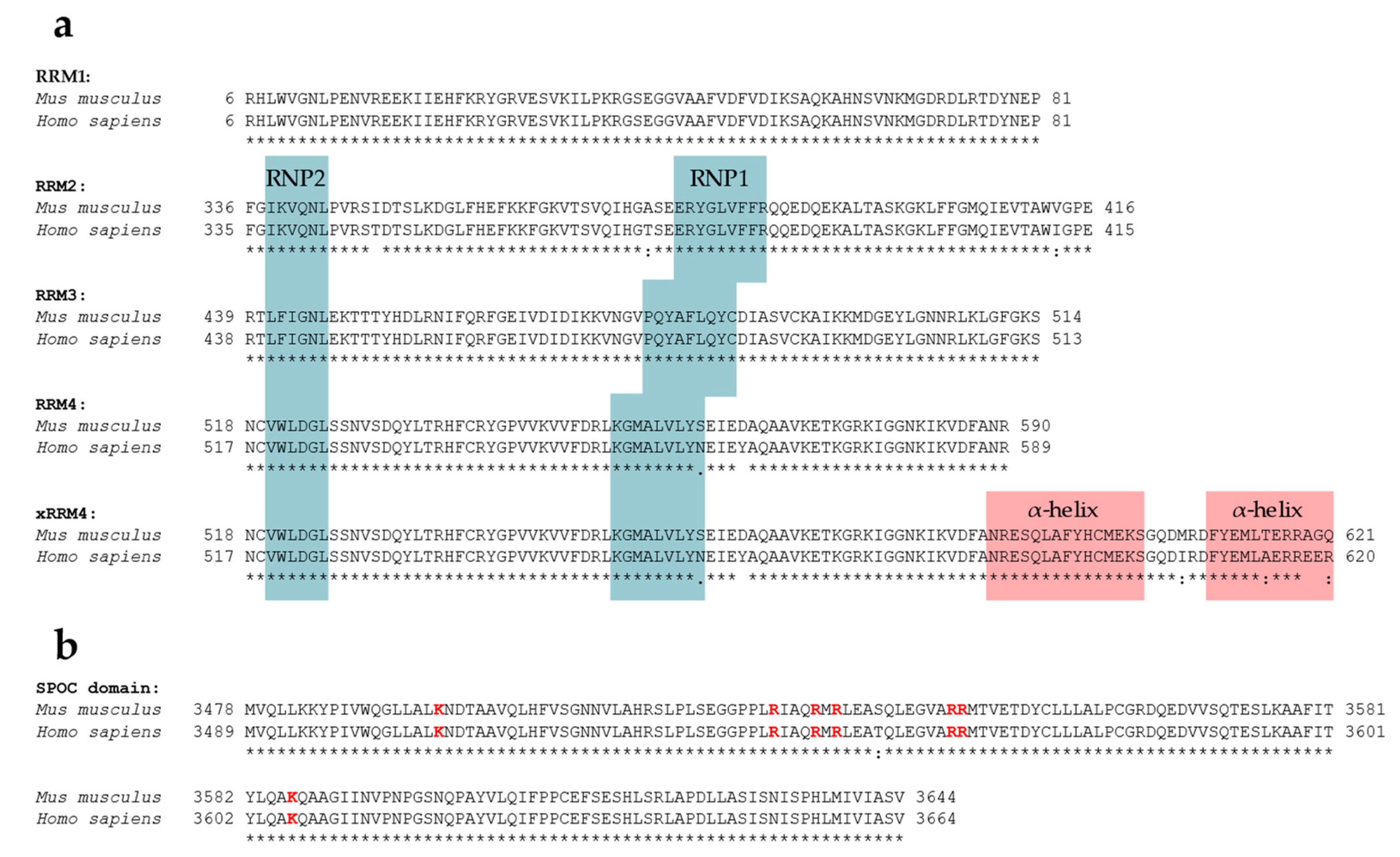 Epigenomes 07 00028 g003
