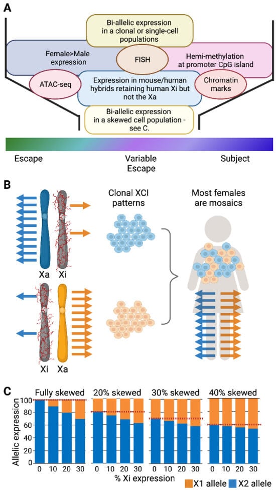 Epigenomes 07 00029 g001