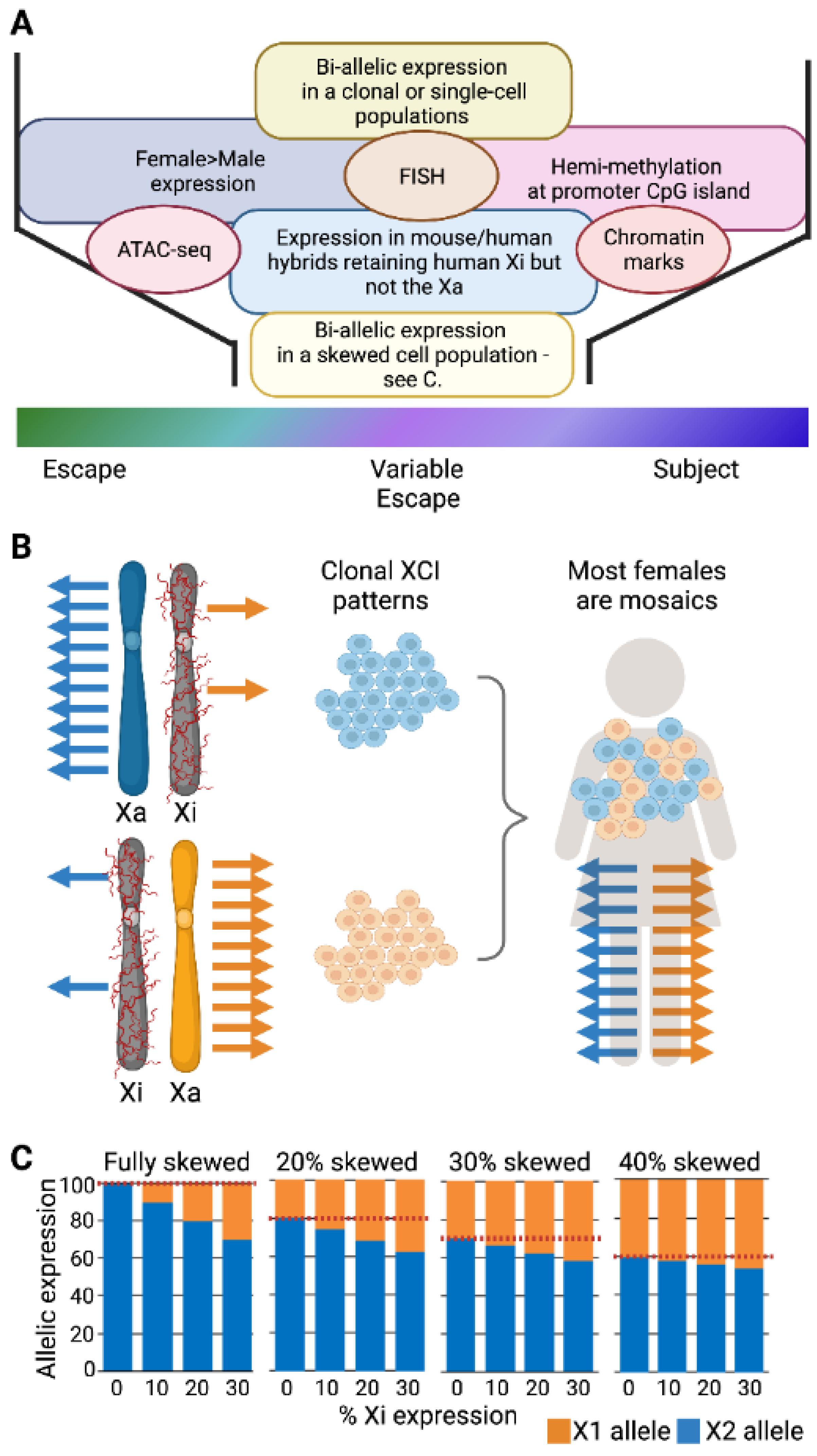 Epigenomes 07 00029 g001