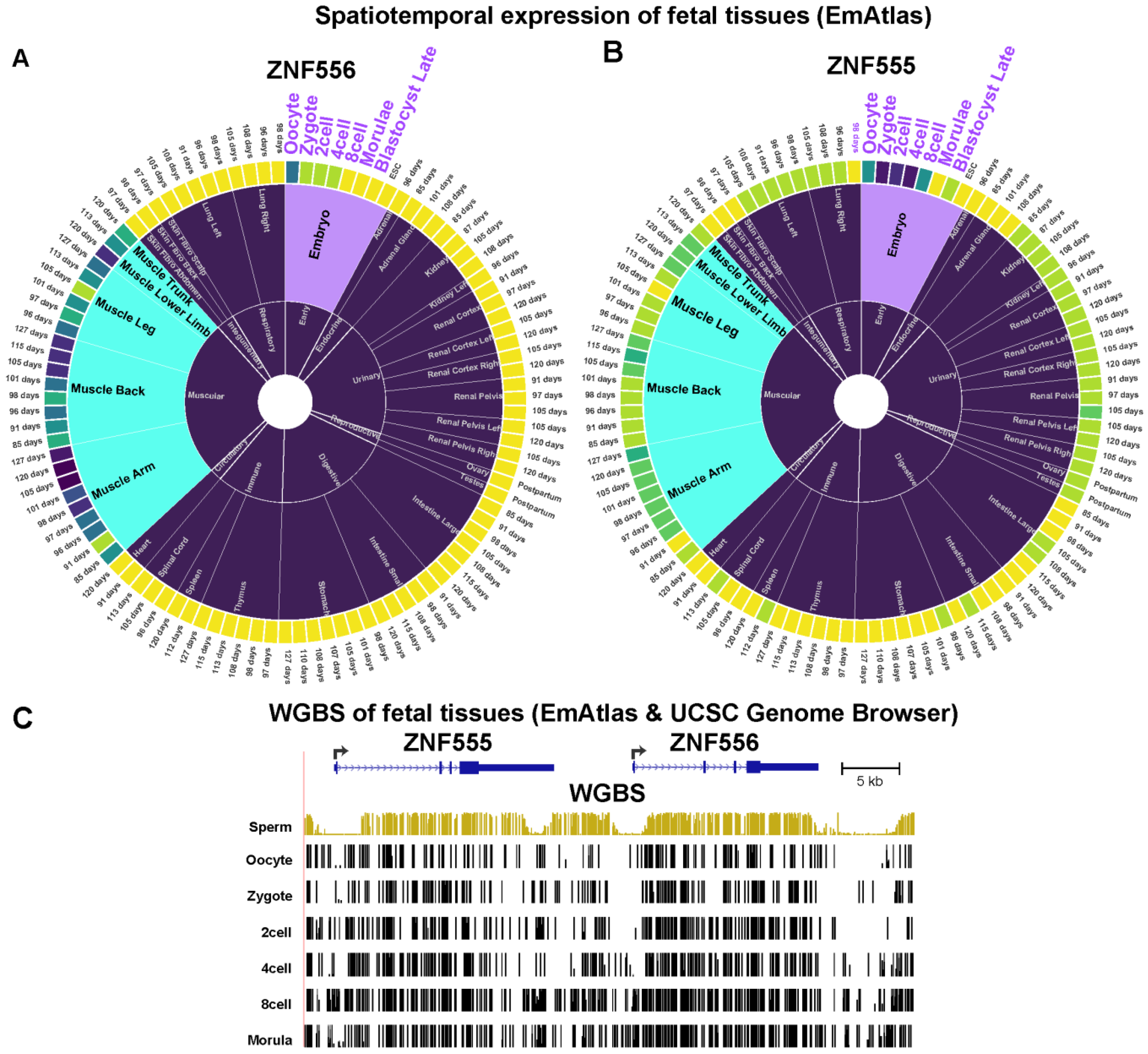 Epigenomes 08 00004 g004