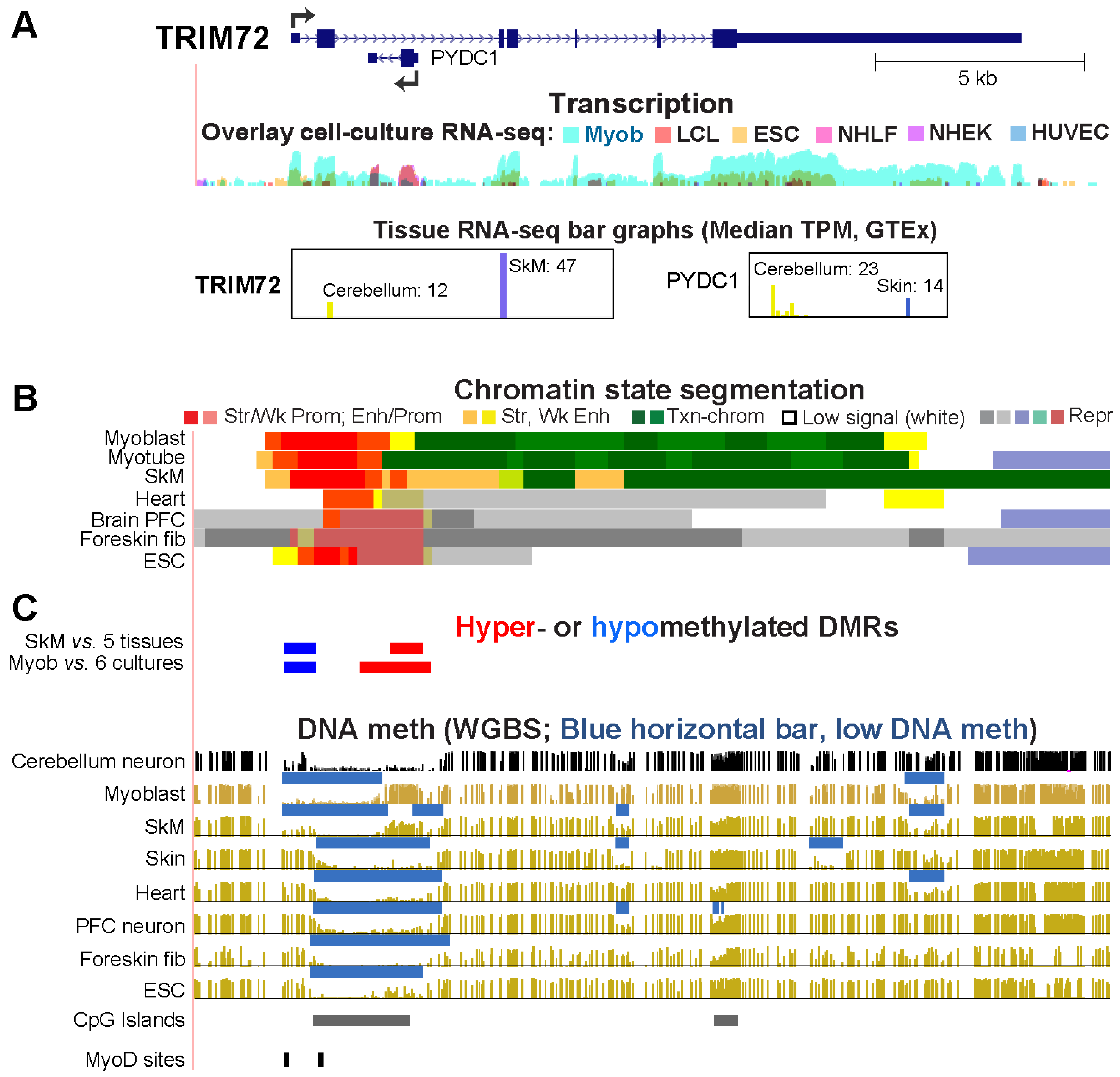 Epigenomes 08 00004 g005