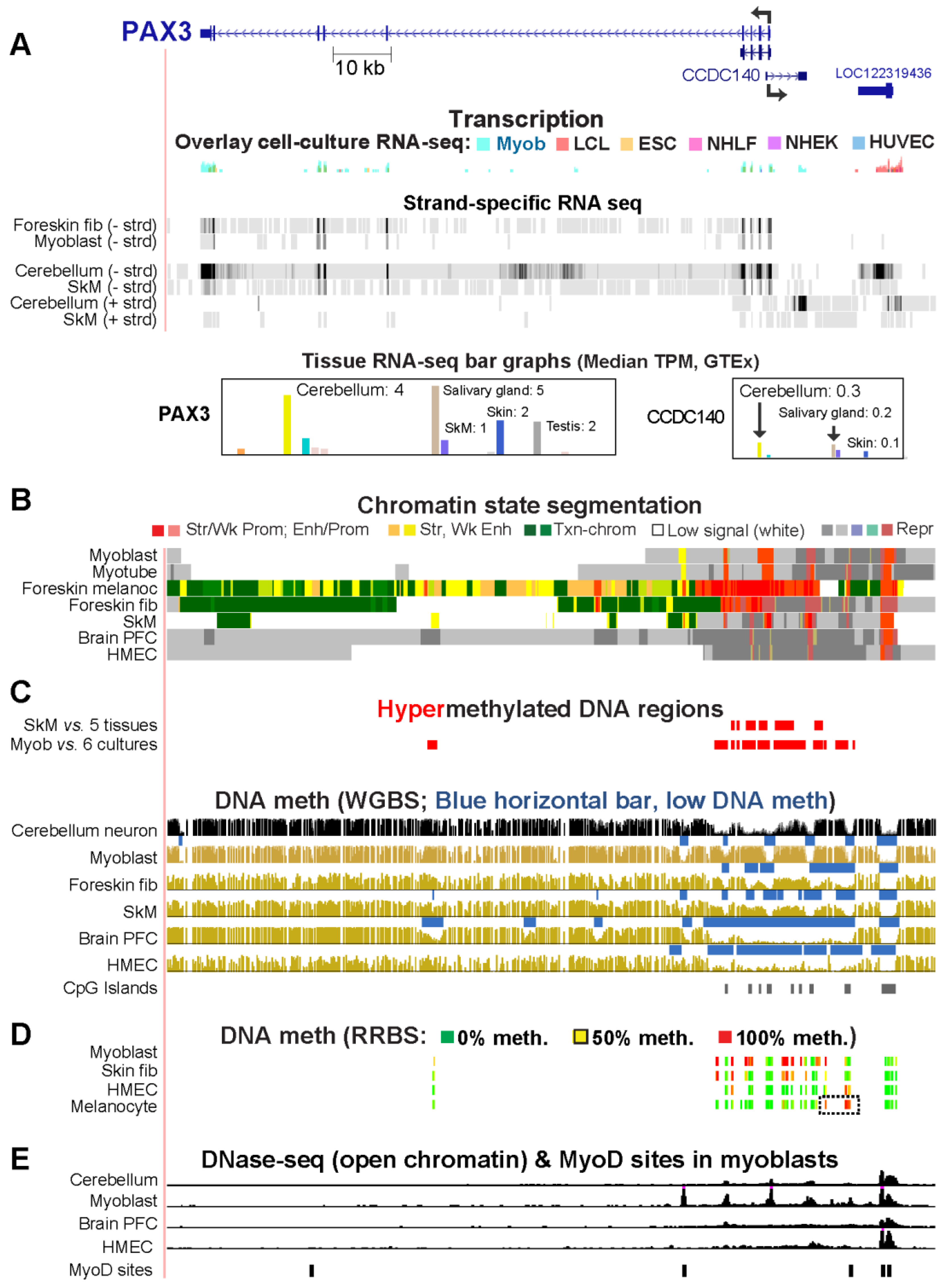 Epigenomes 08 00004 g007