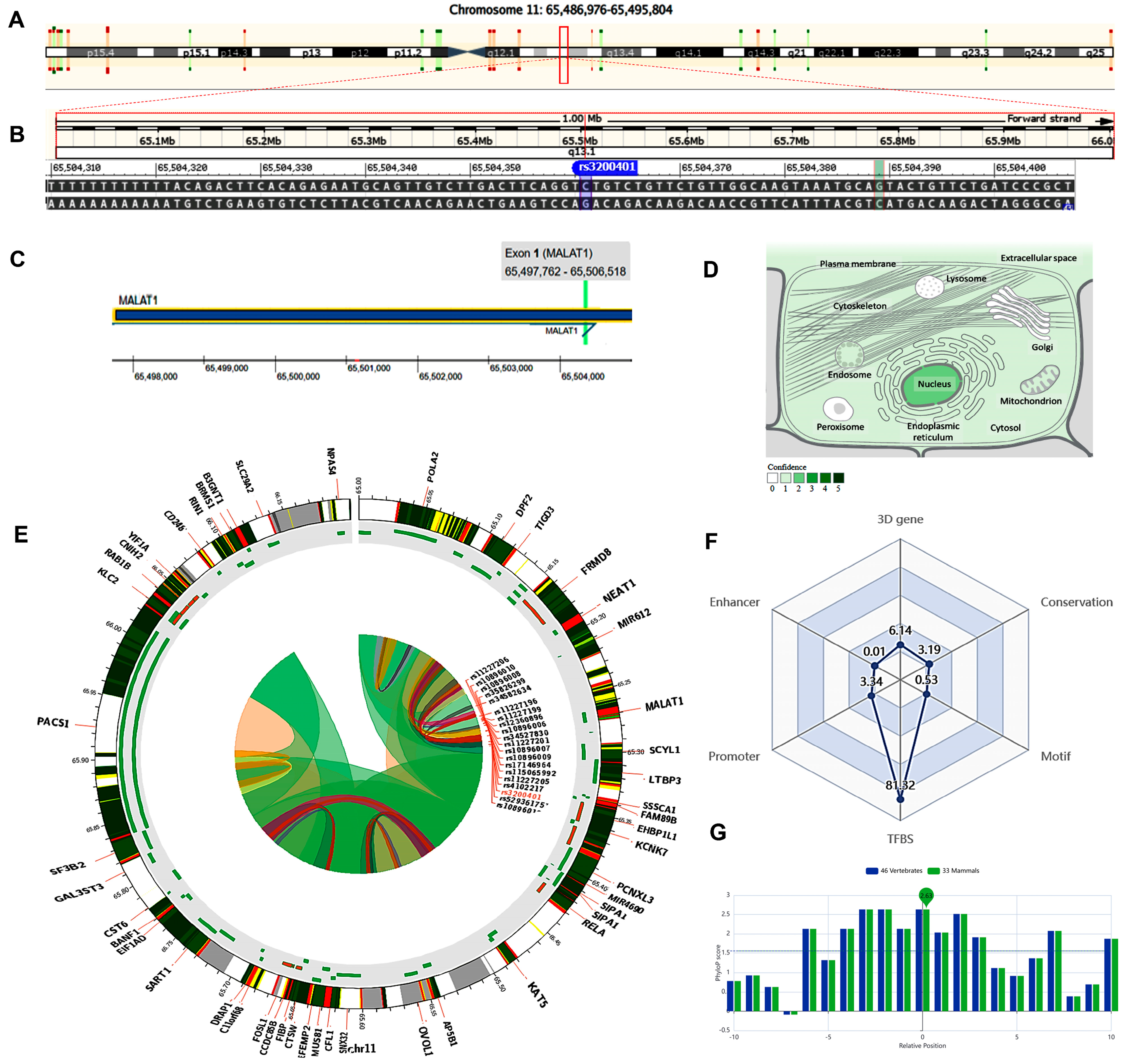 Epigenomes 08 00005 g002