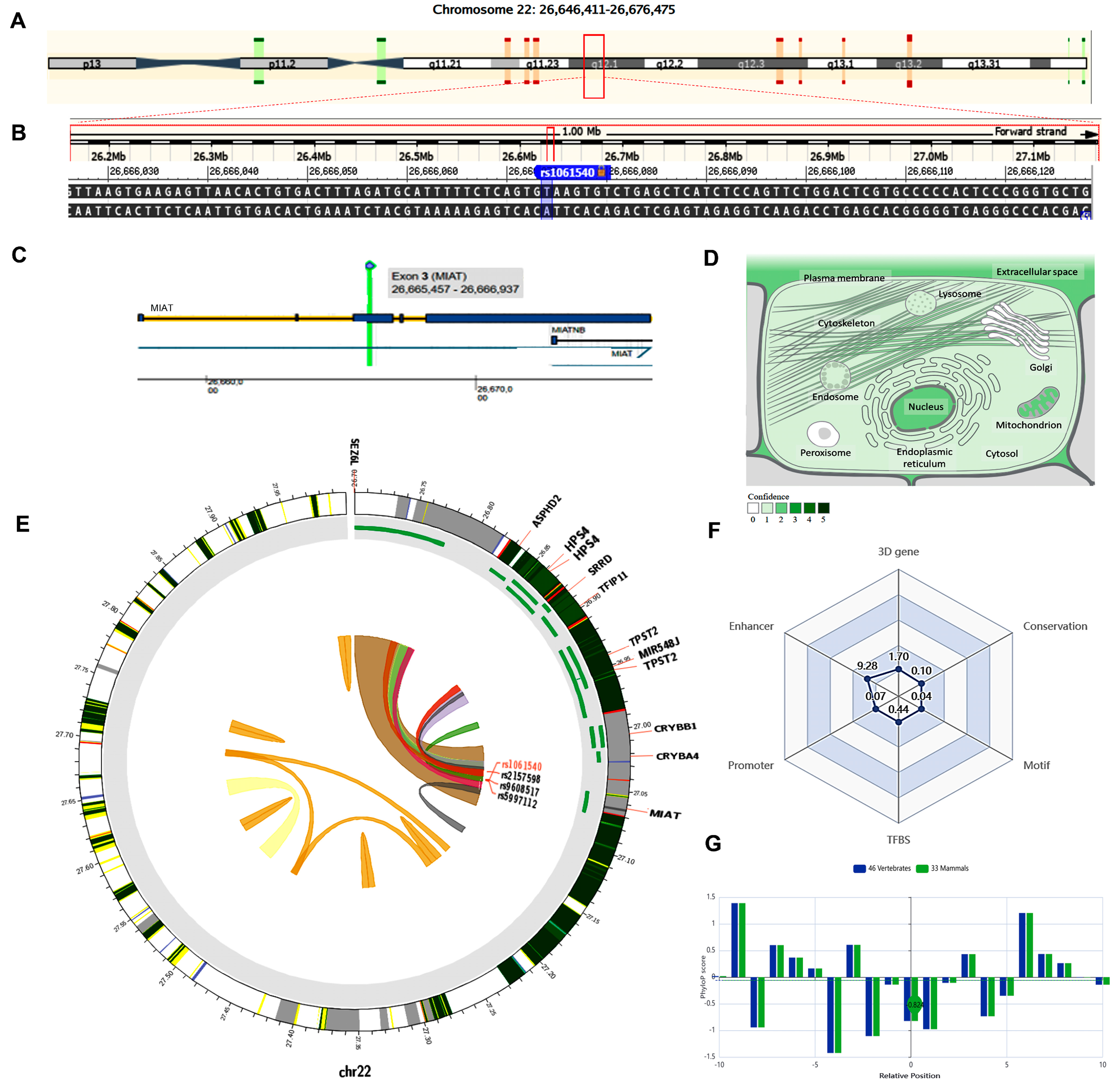 Epigenomes 08 00005 g003