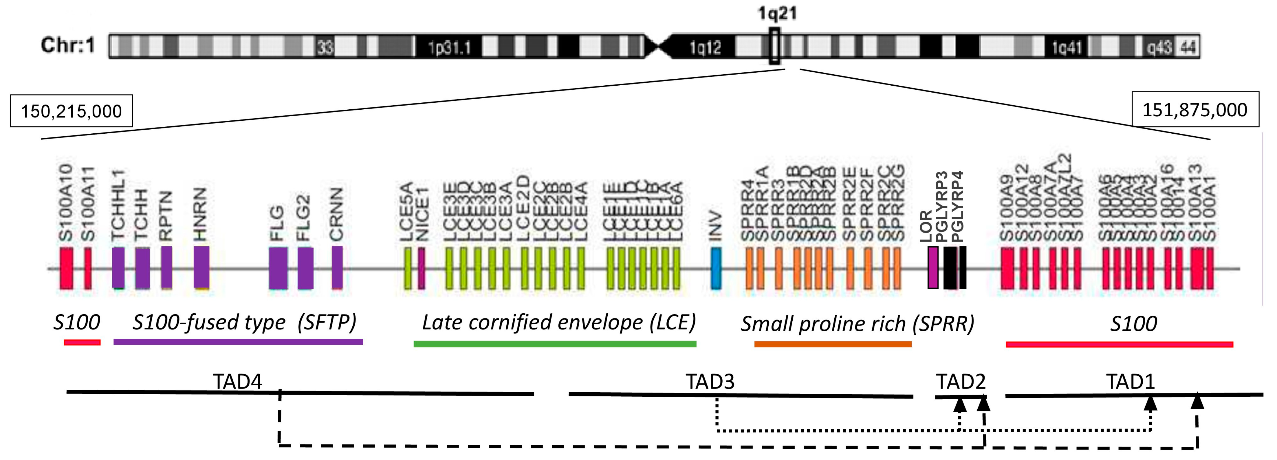 Epigenomes 08 00009 g002