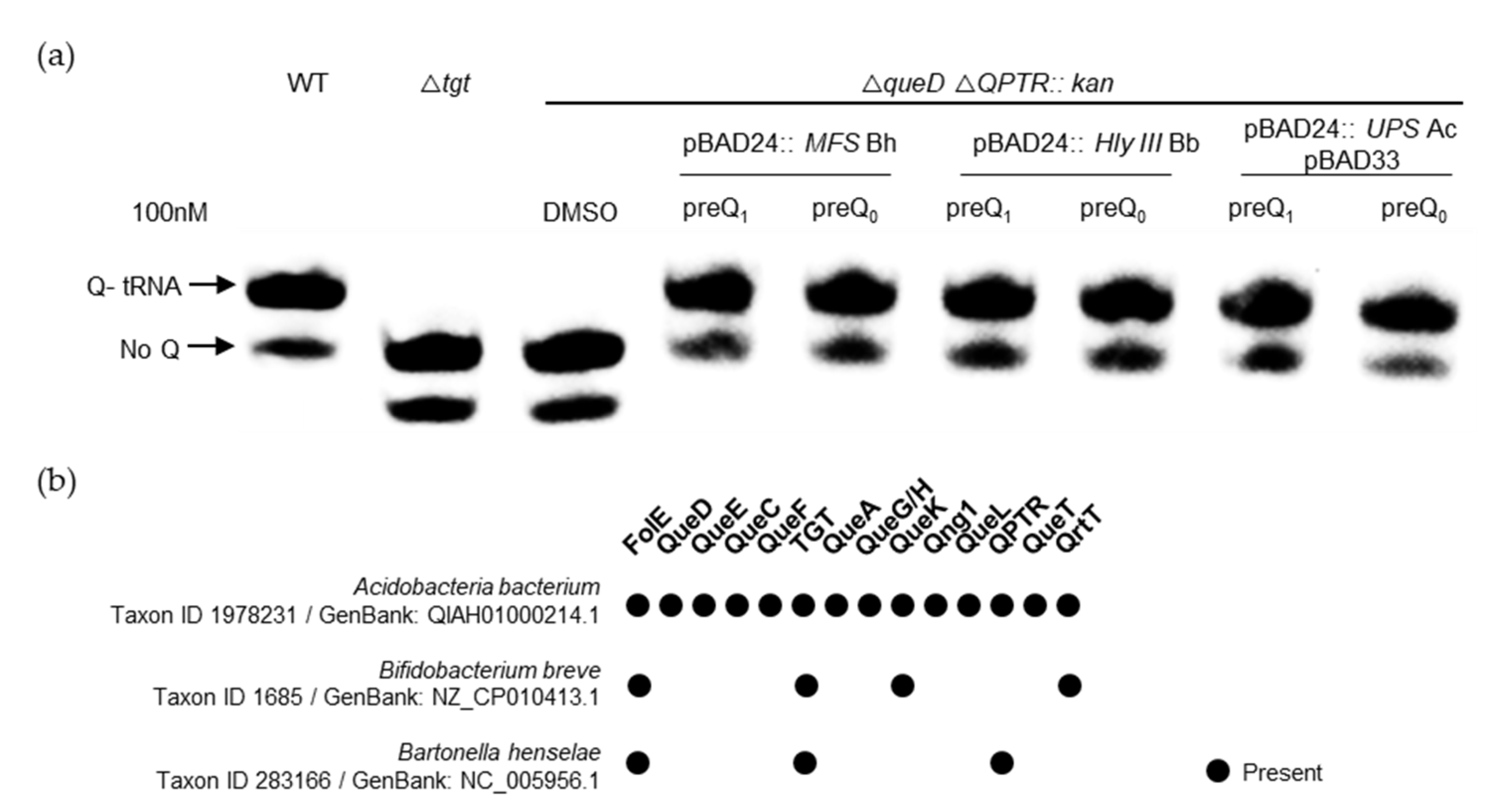 Epigenomes 08 00016 g008