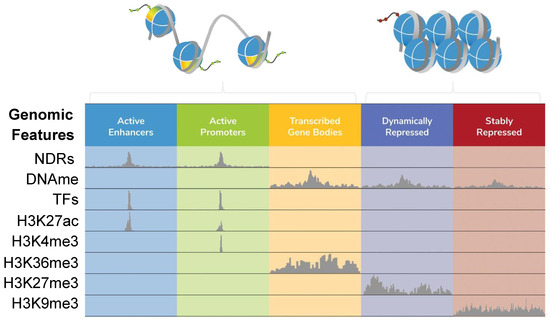Epigenomes 08 00020 g001
