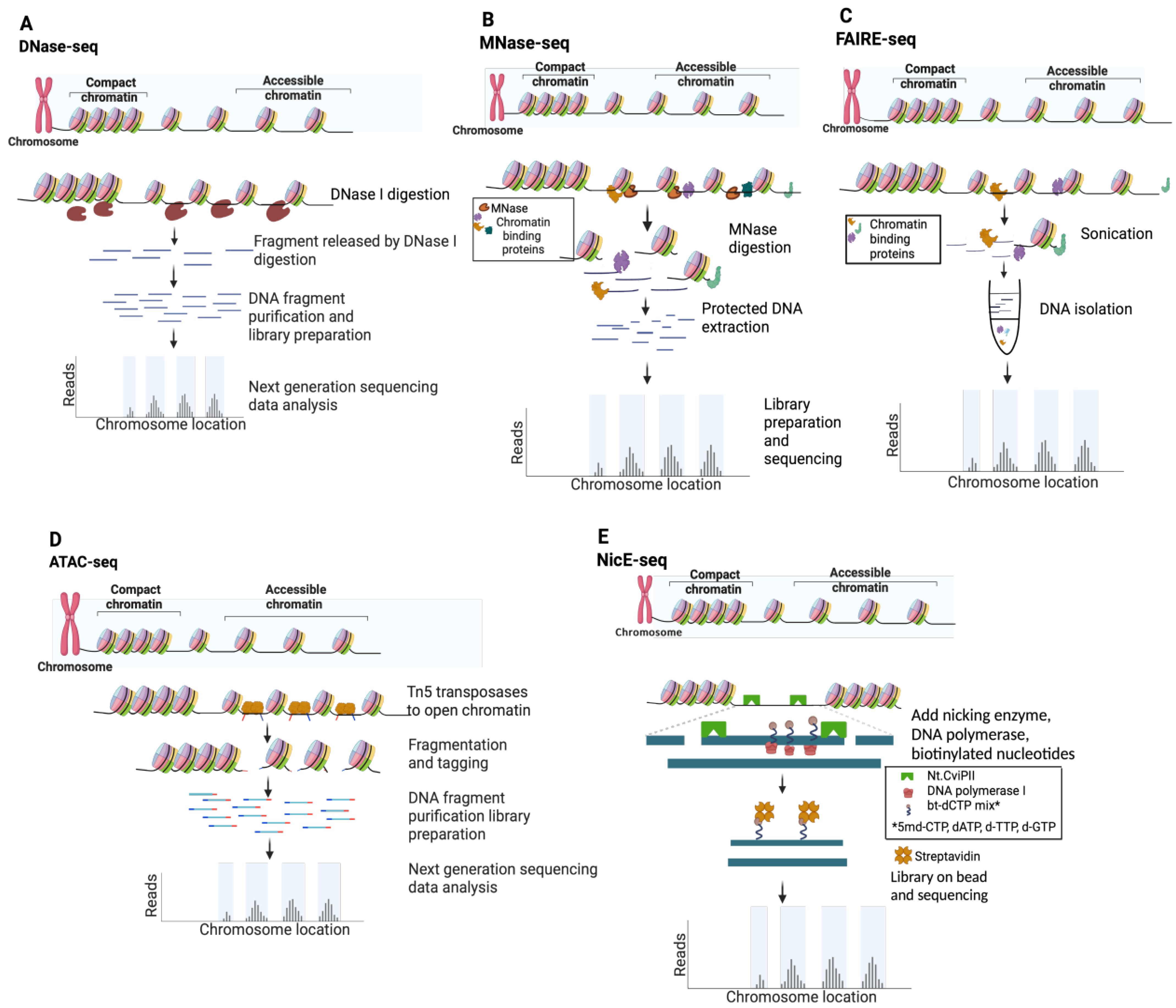 Epigenomes 08 00020 g003