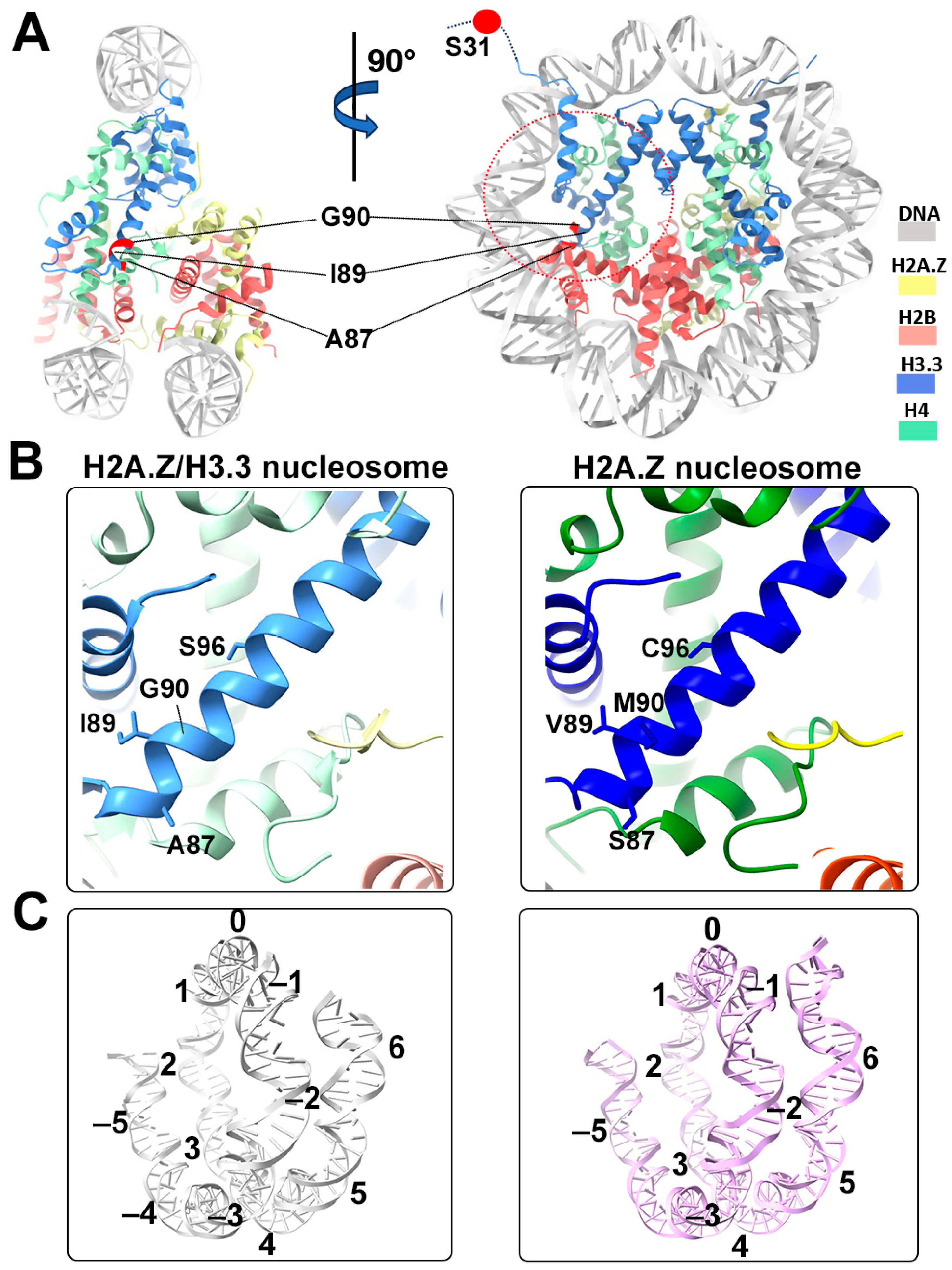 Epigenomes 08 00021 g004