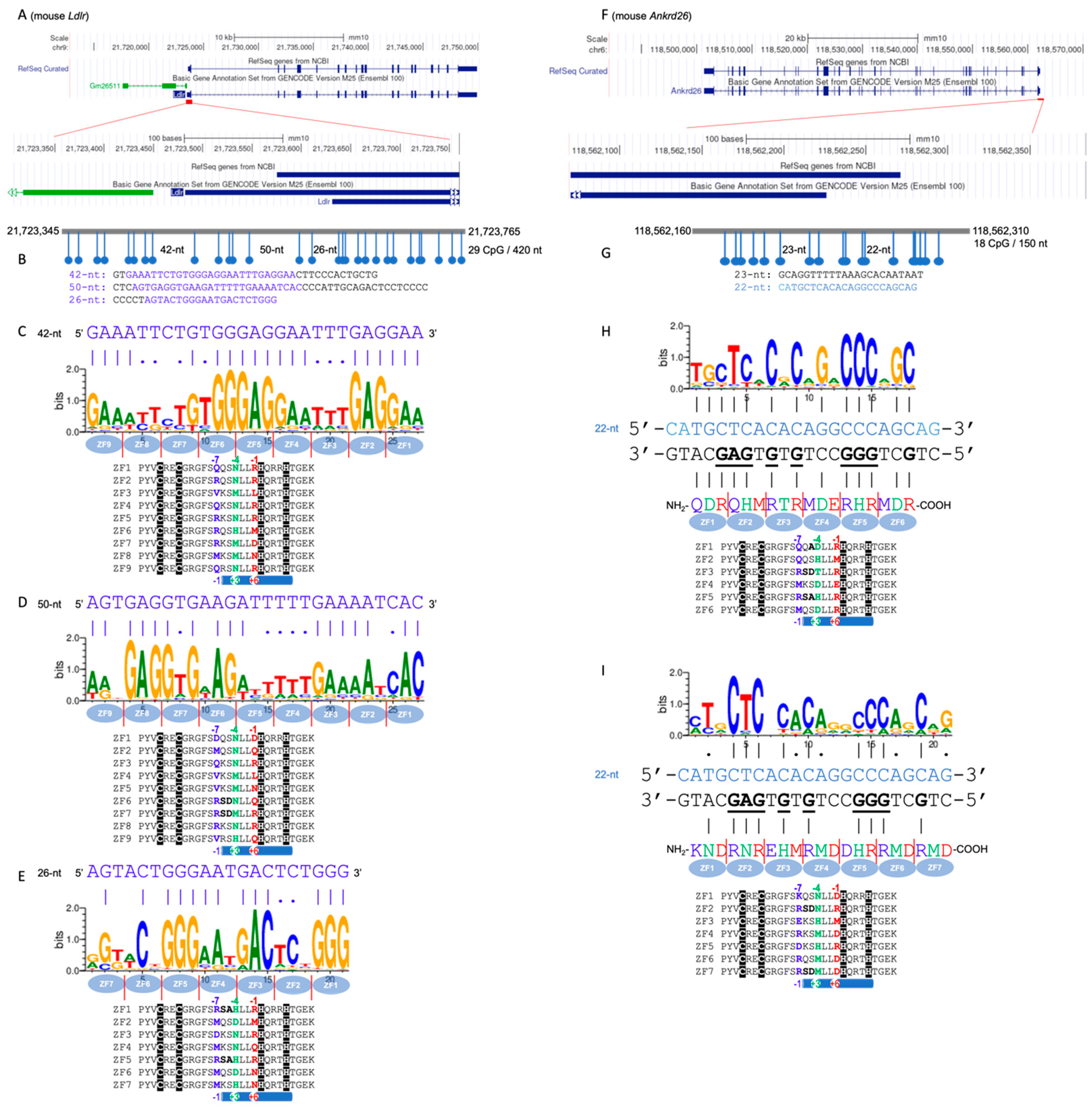 Epigenomes 08 00023 g003