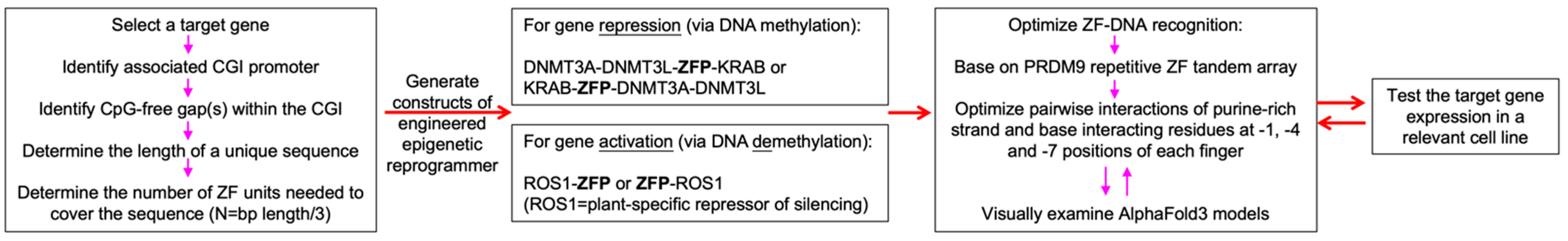 Epigenomes 08 00023 g004