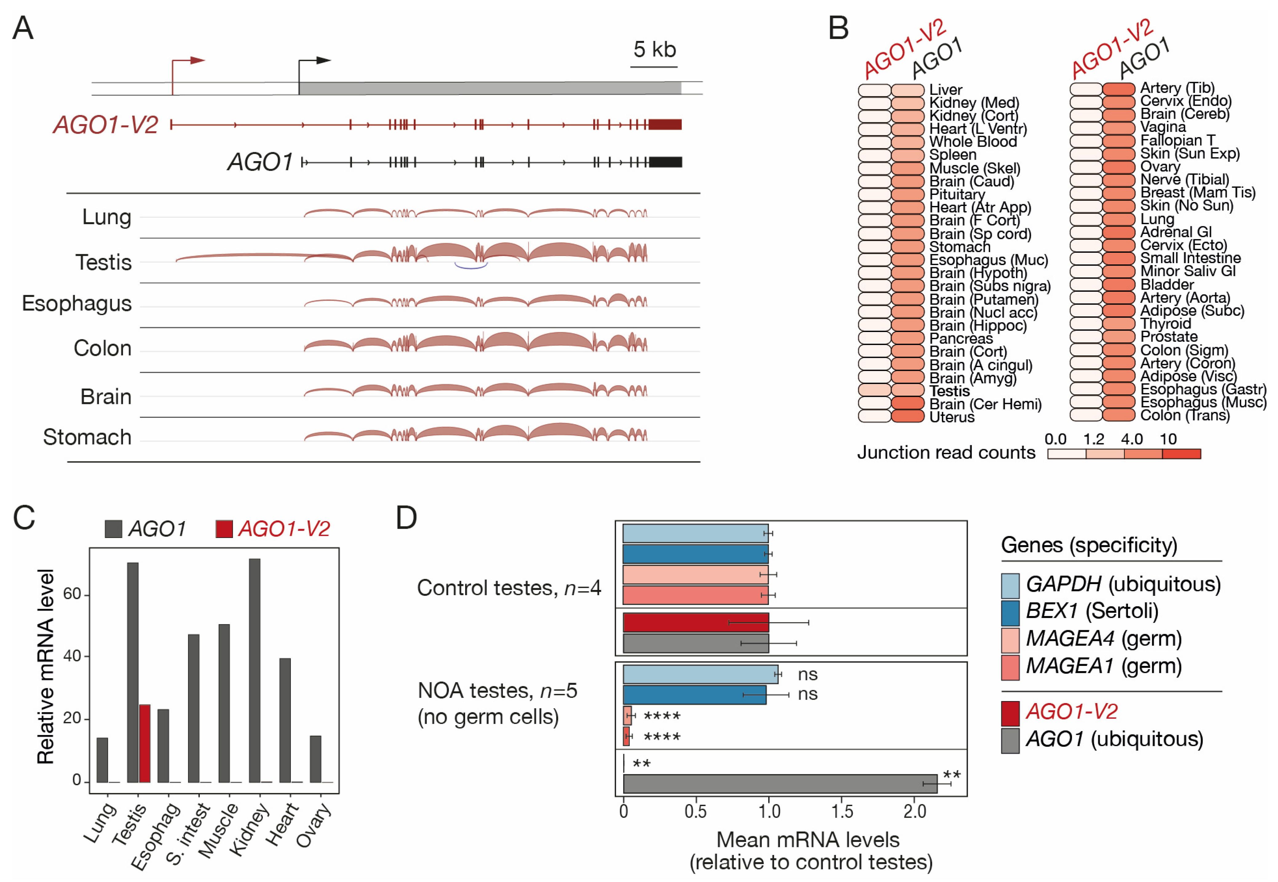 Epigenomes 08 00024 g001