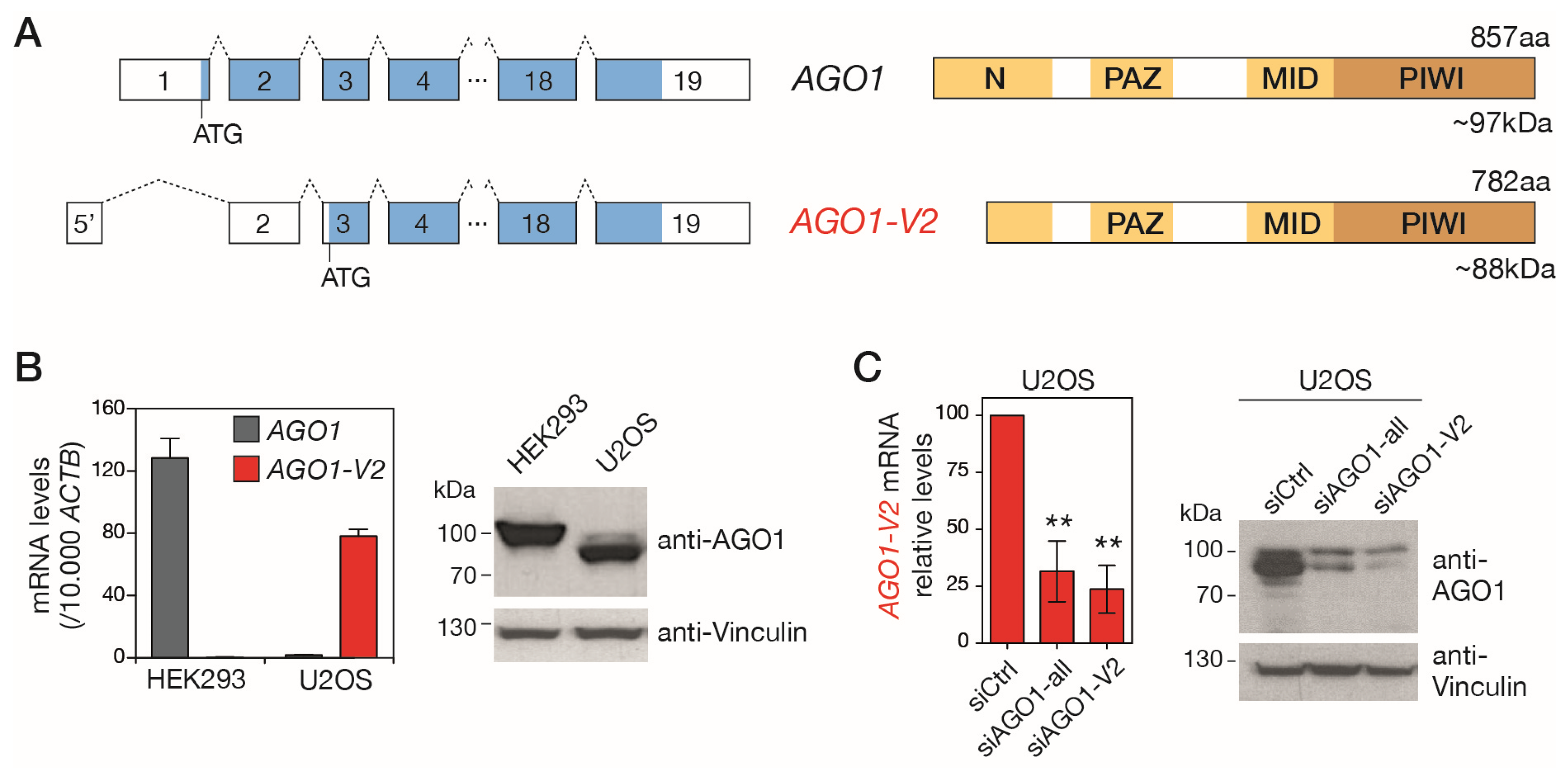Epigenomes 08 00024 g003