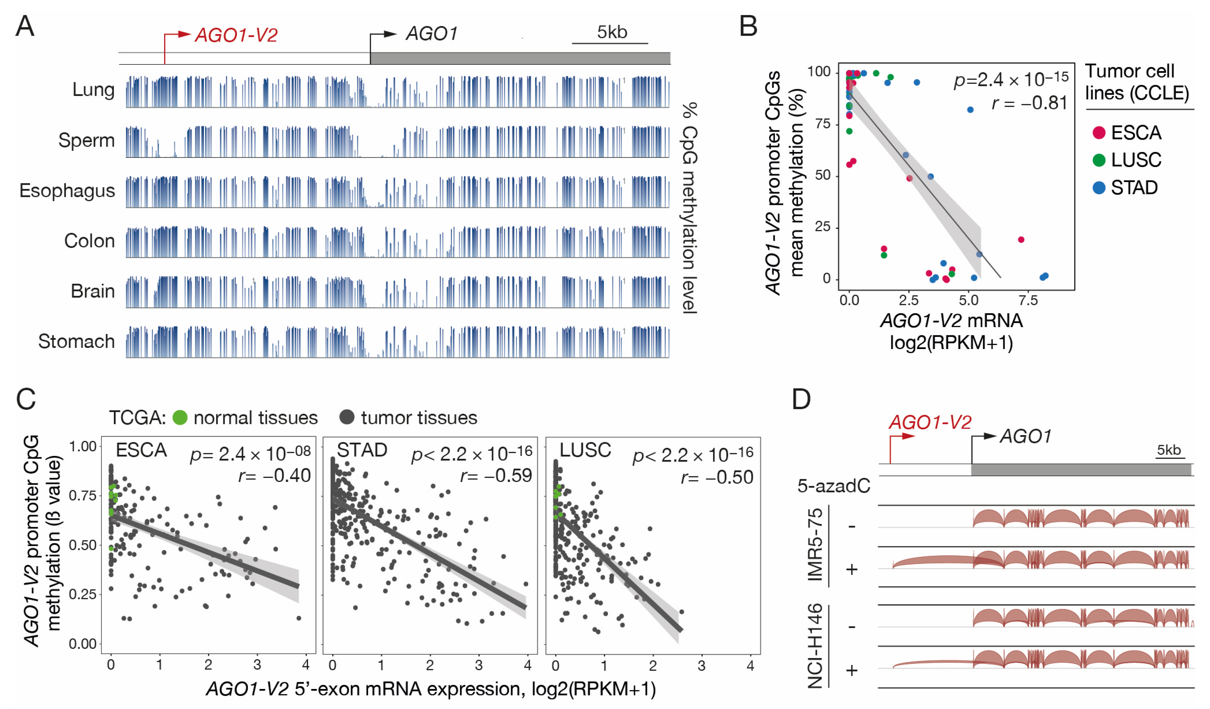 Epigenomes 08 00024 g004