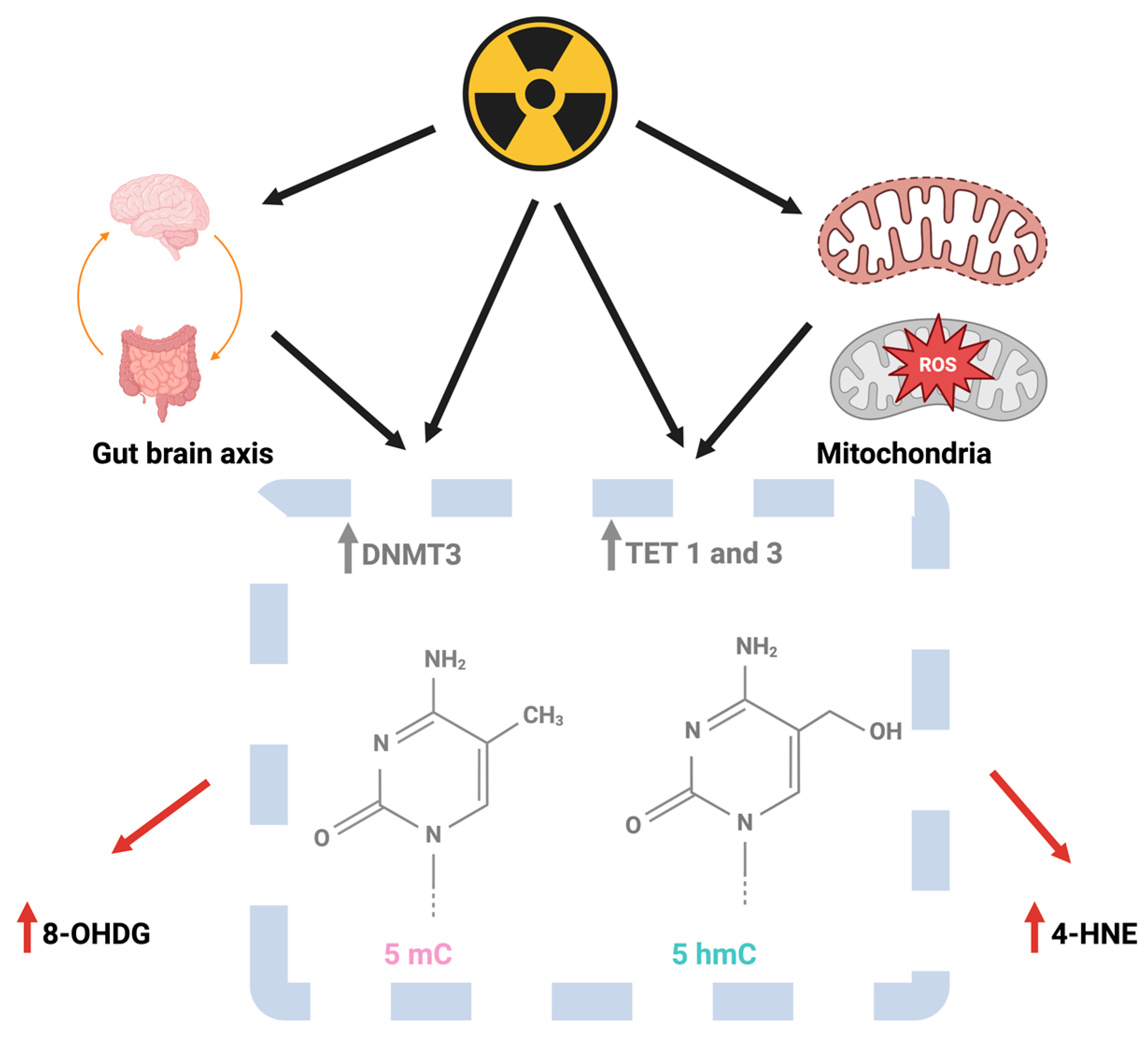 Epigenomes 08 00027 g001