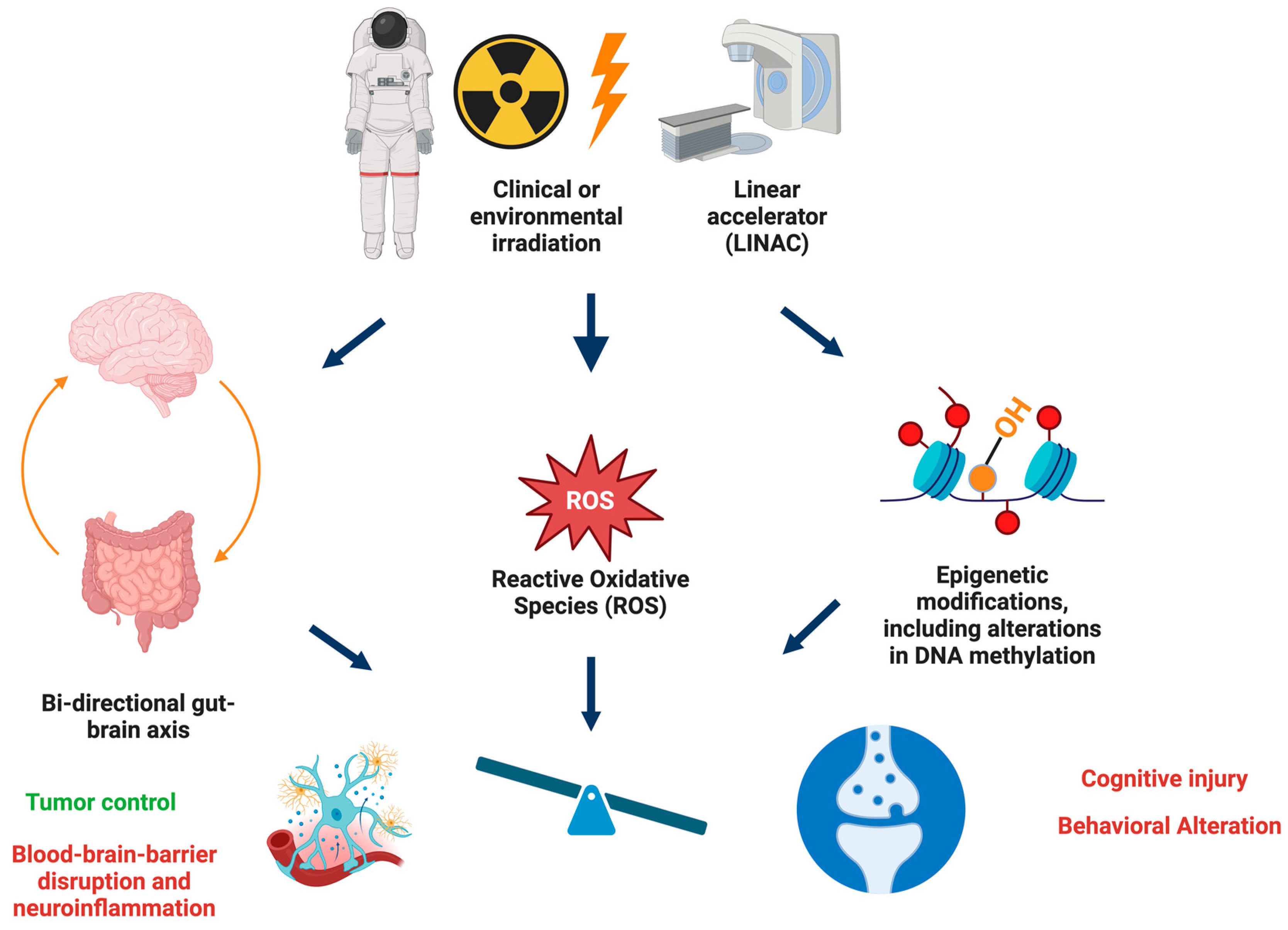 Epigenomes 08 00027 g003