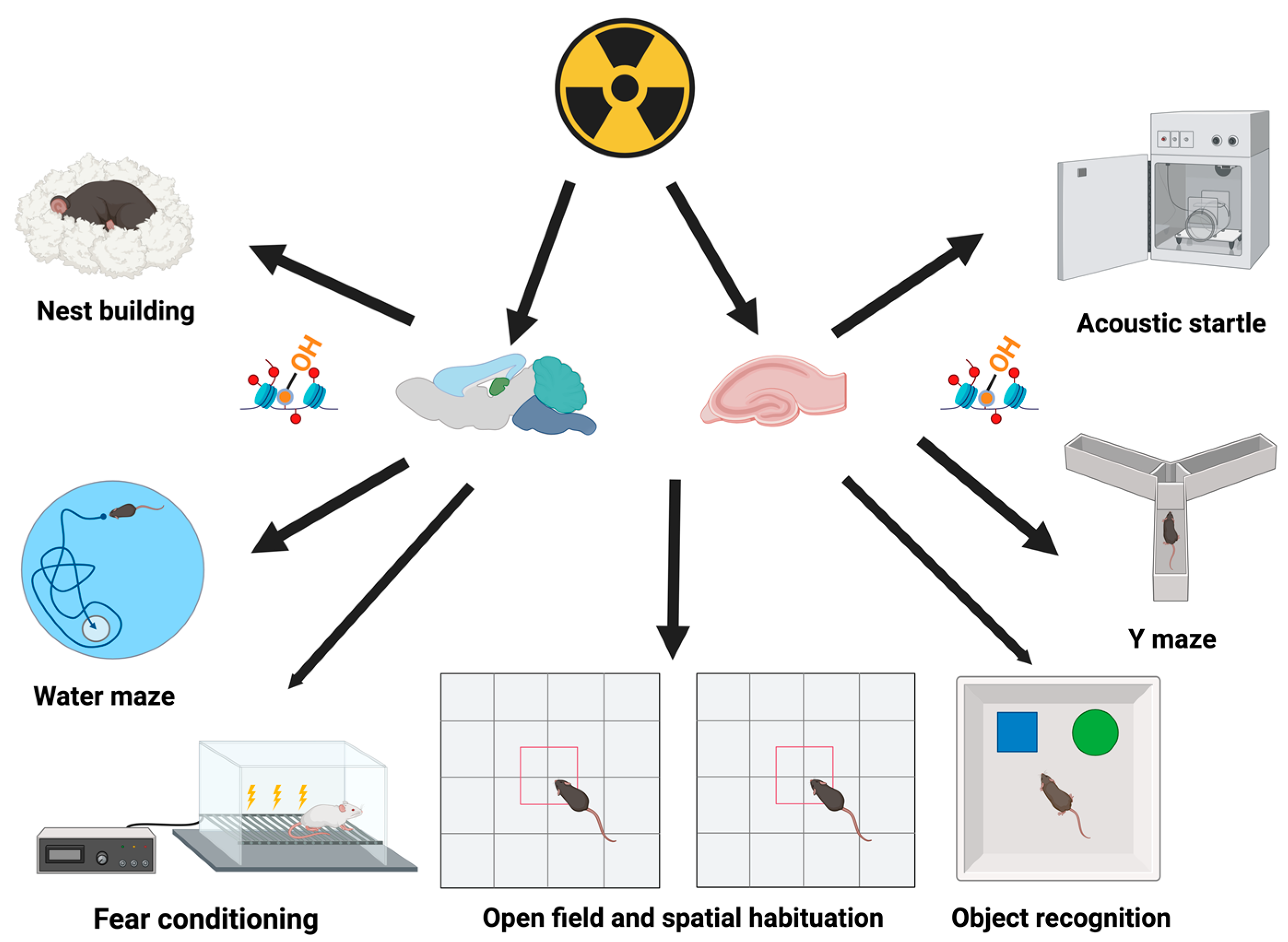Epigenomes 08 00027 g005